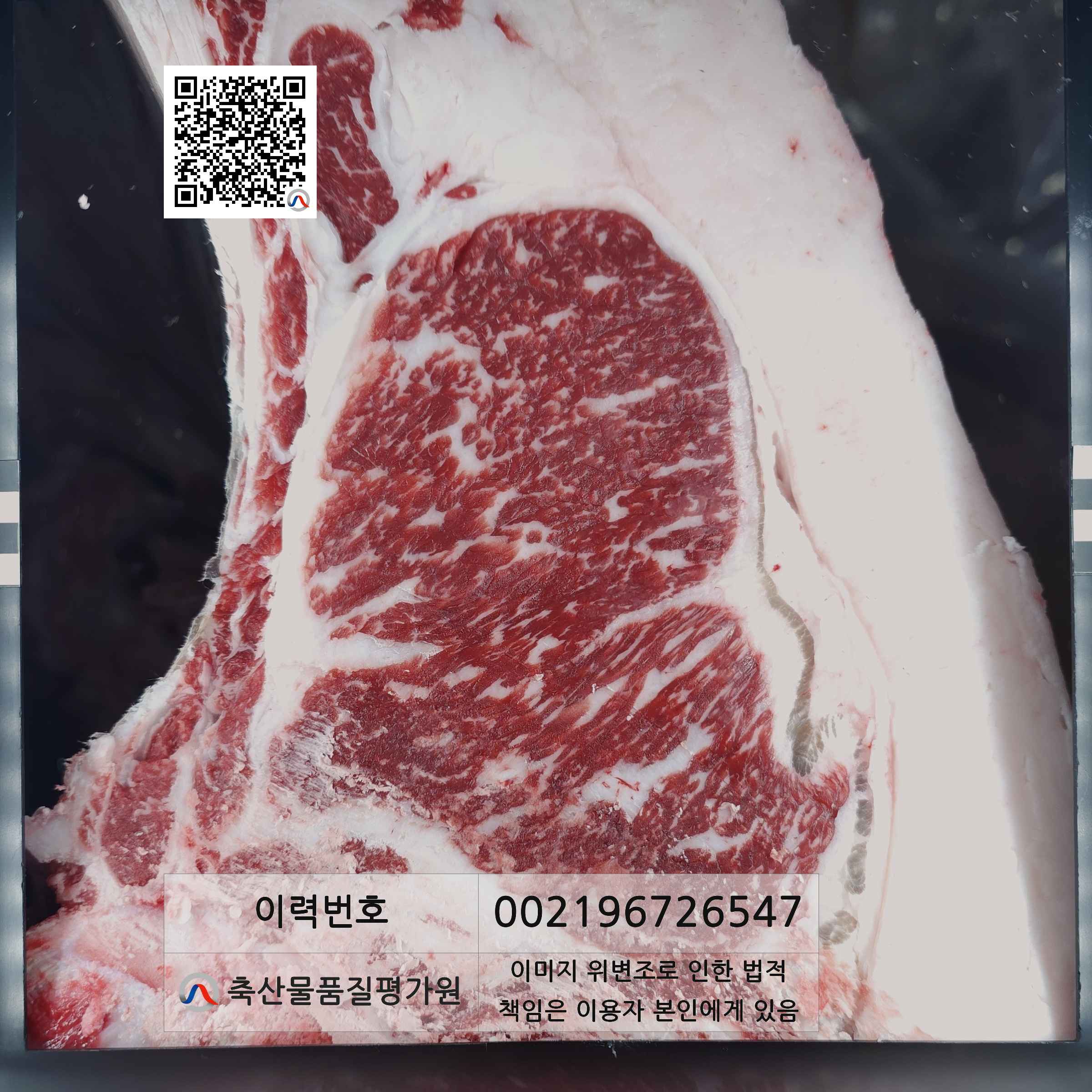 등심단면적 사진