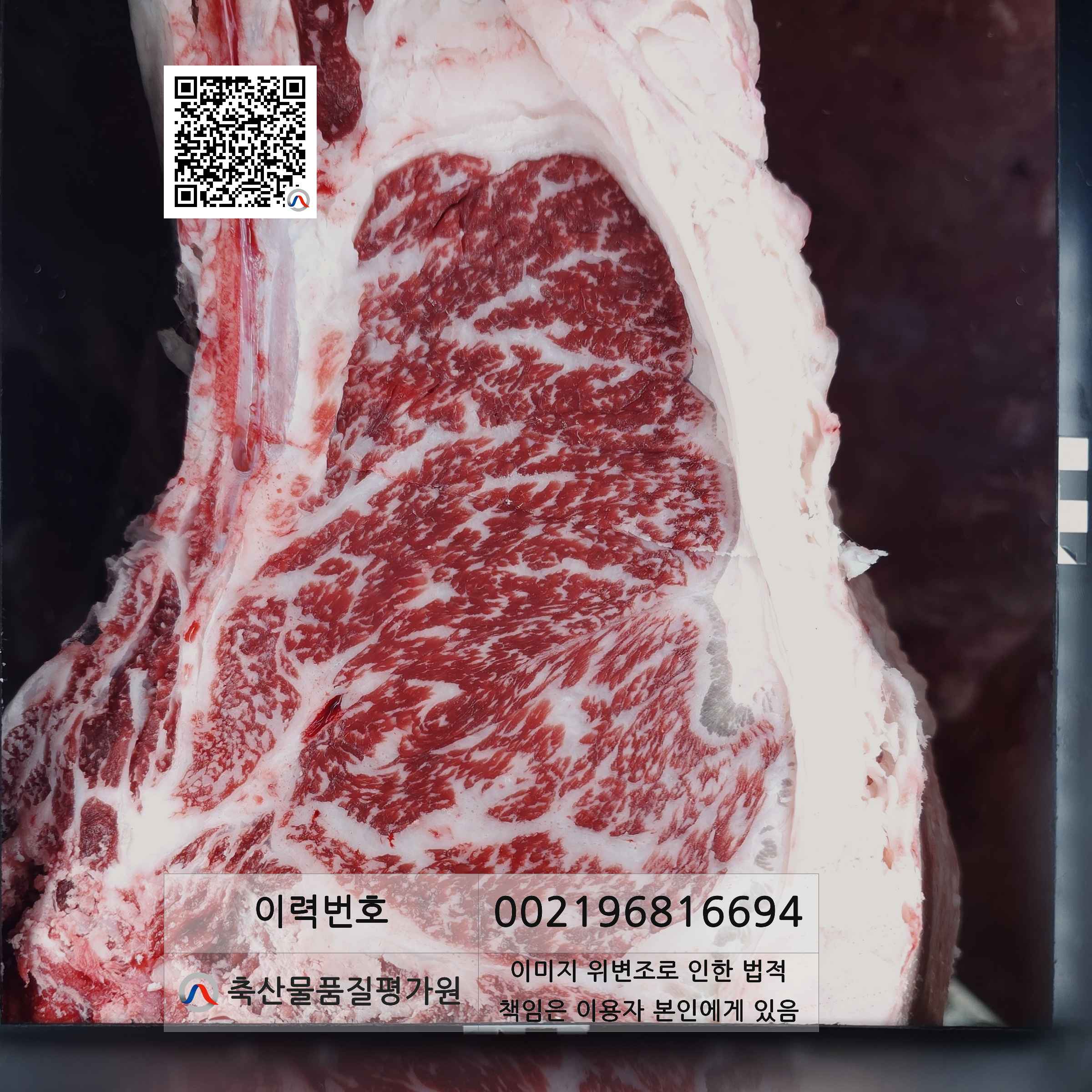 등심단면적 사진