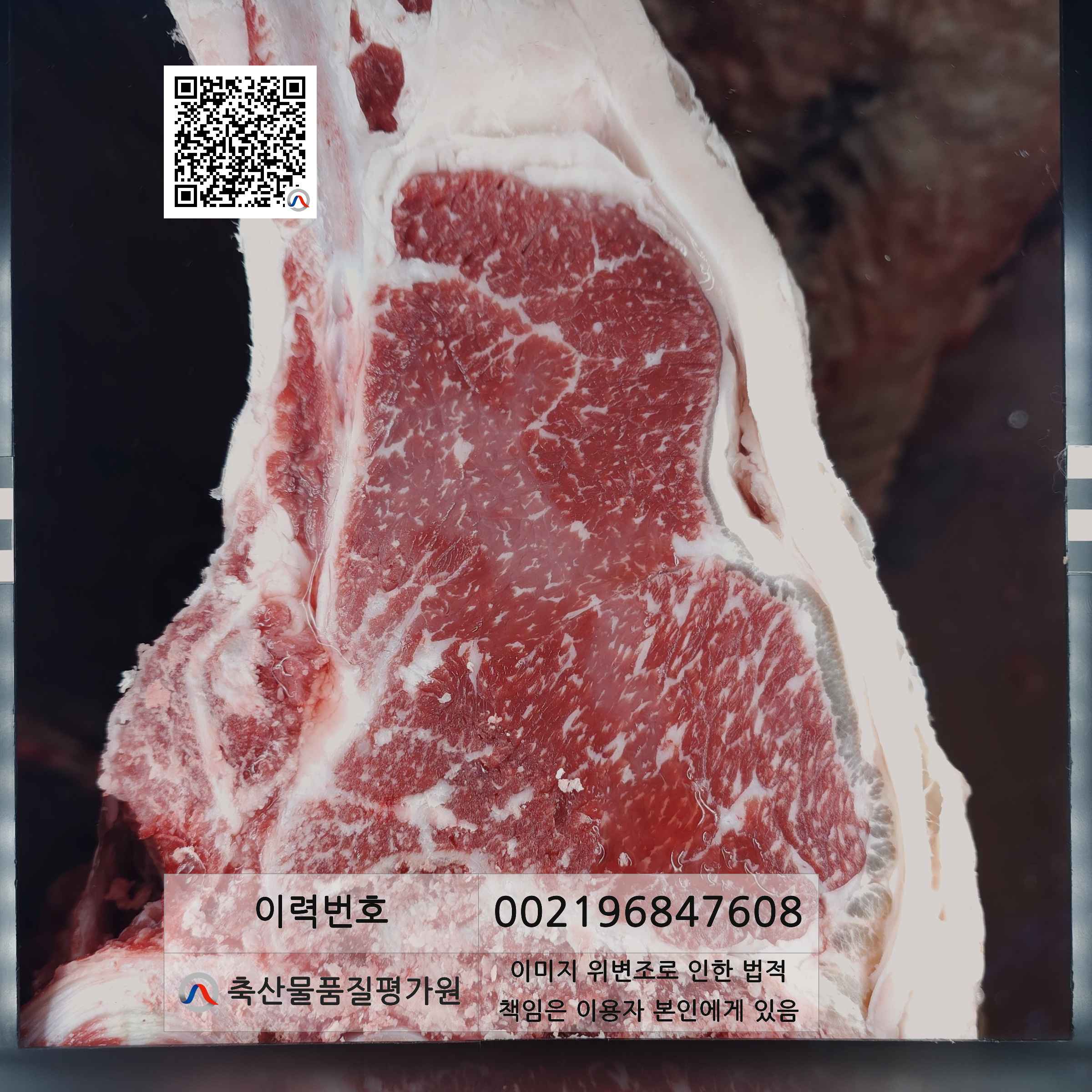 등심단면적 사진