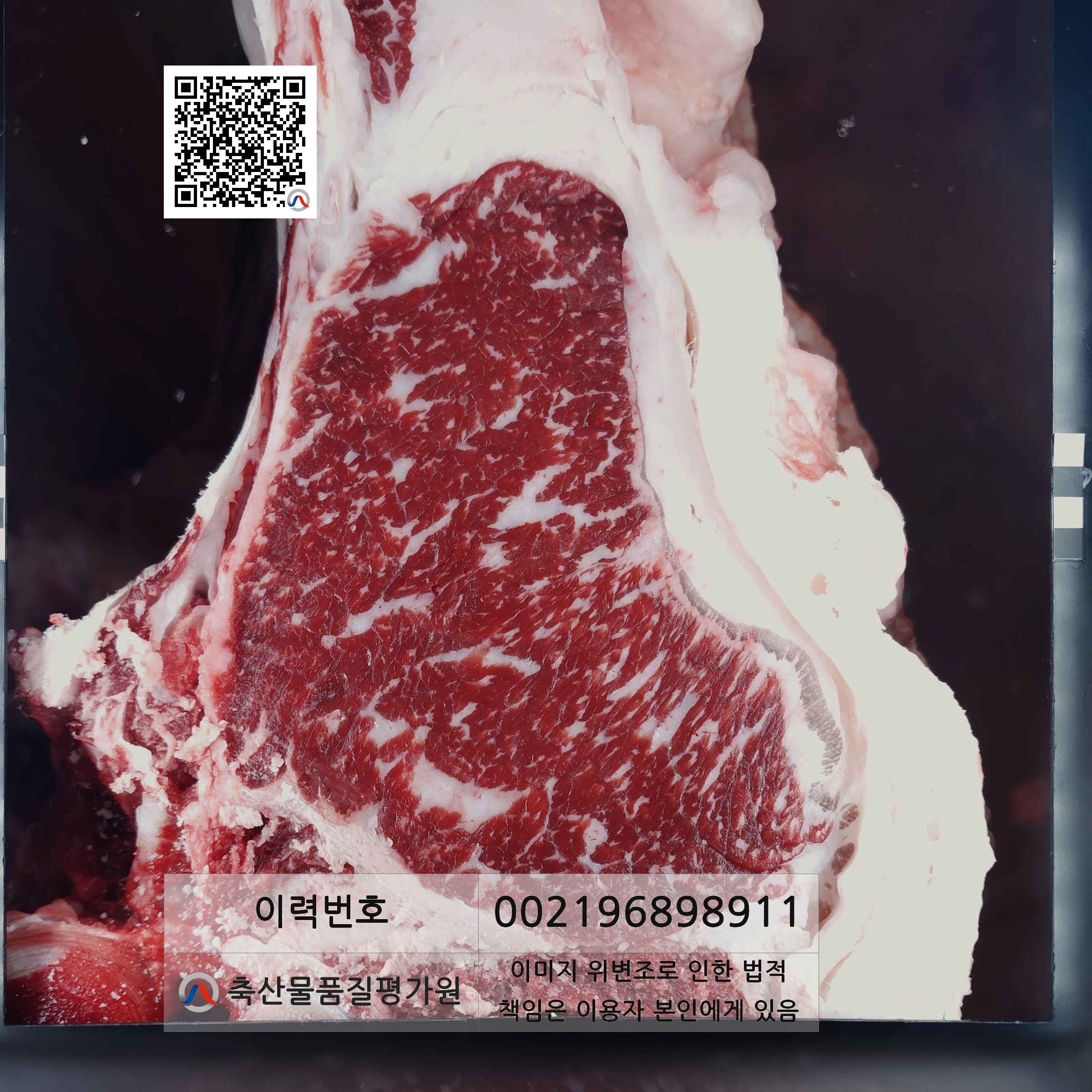 등심단면적 사진