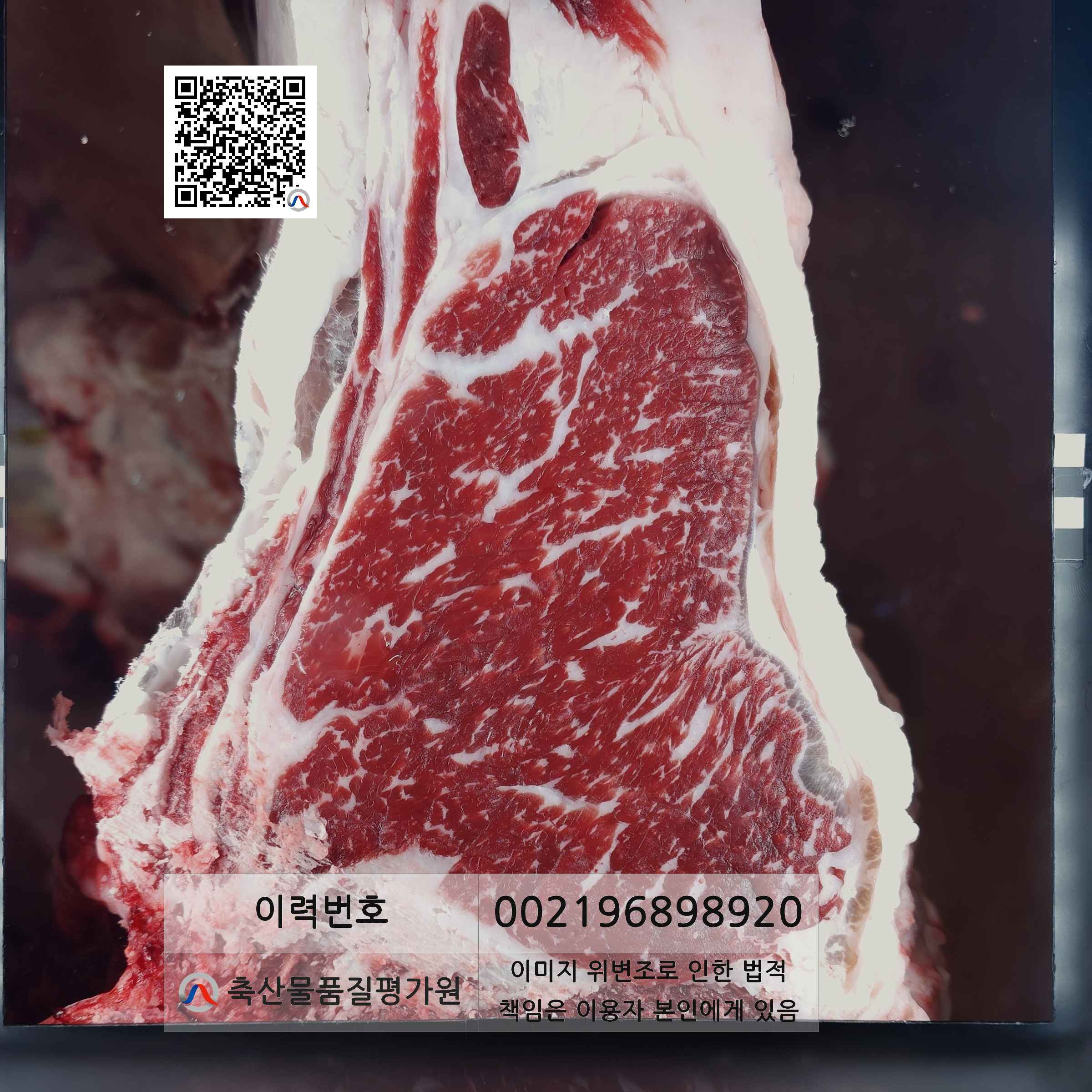 등심단면적 사진