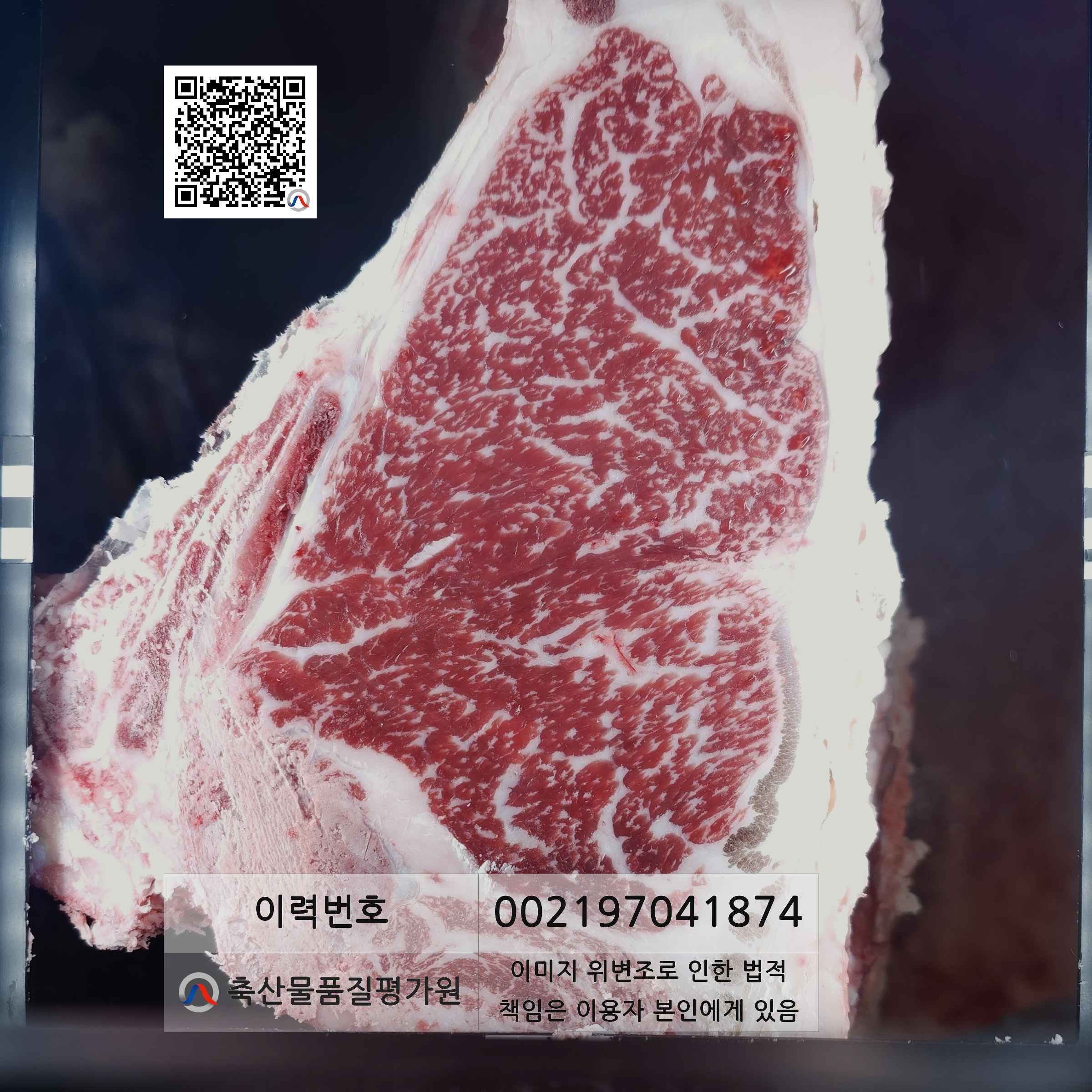 등심단면적 사진