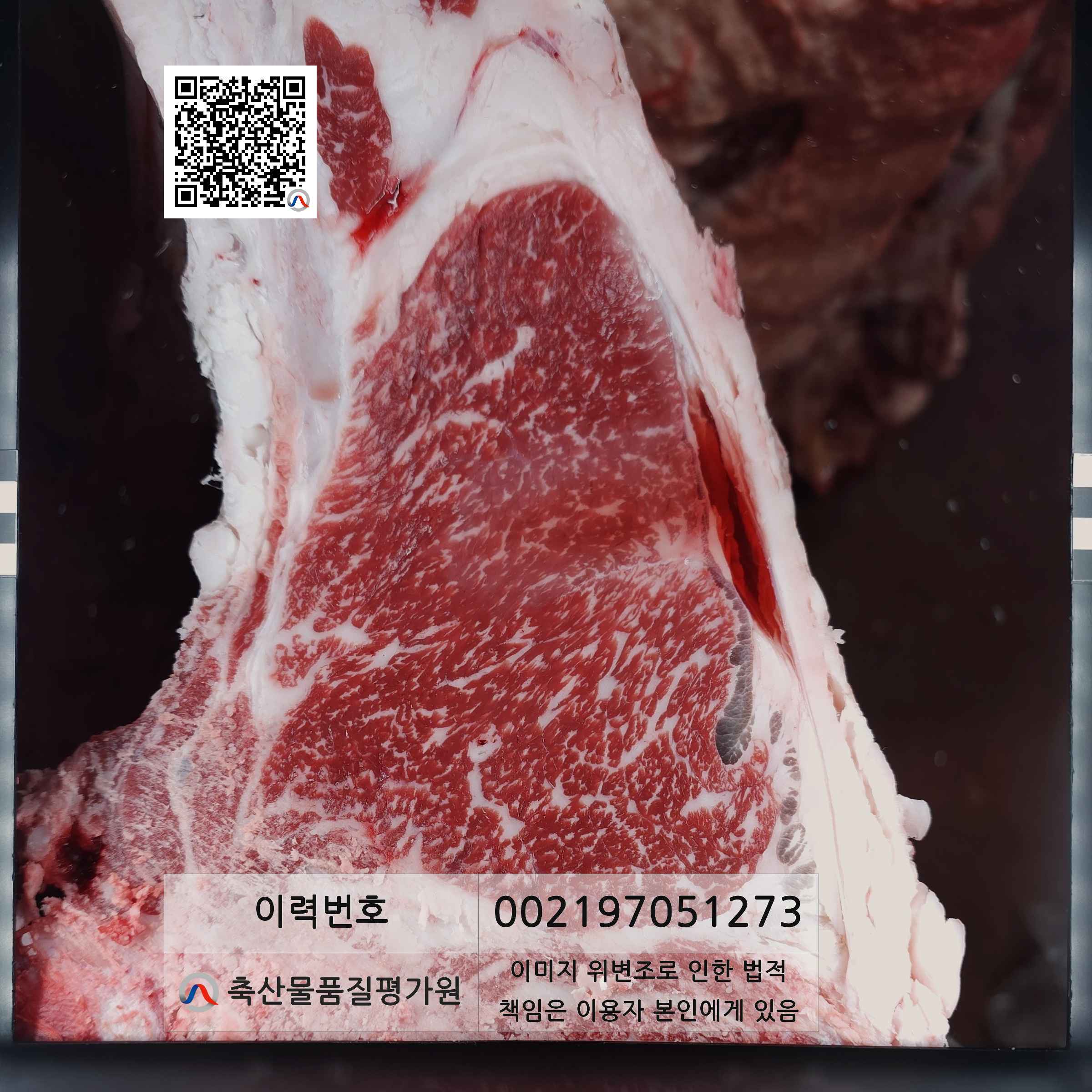 등심단면적 사진