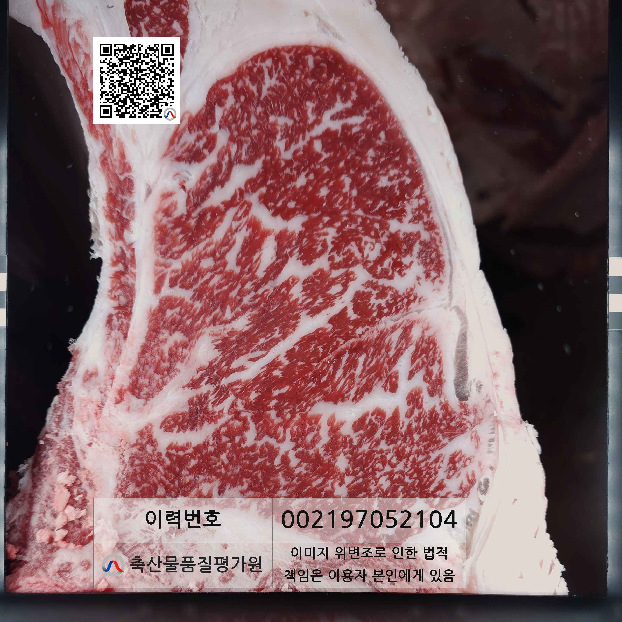 등심단면적 사진