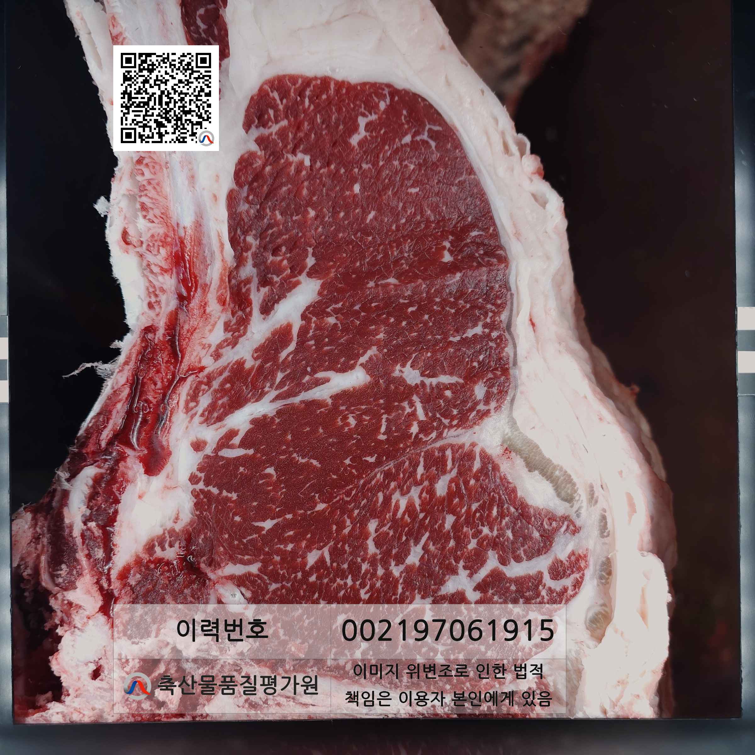등심단면적 사진
