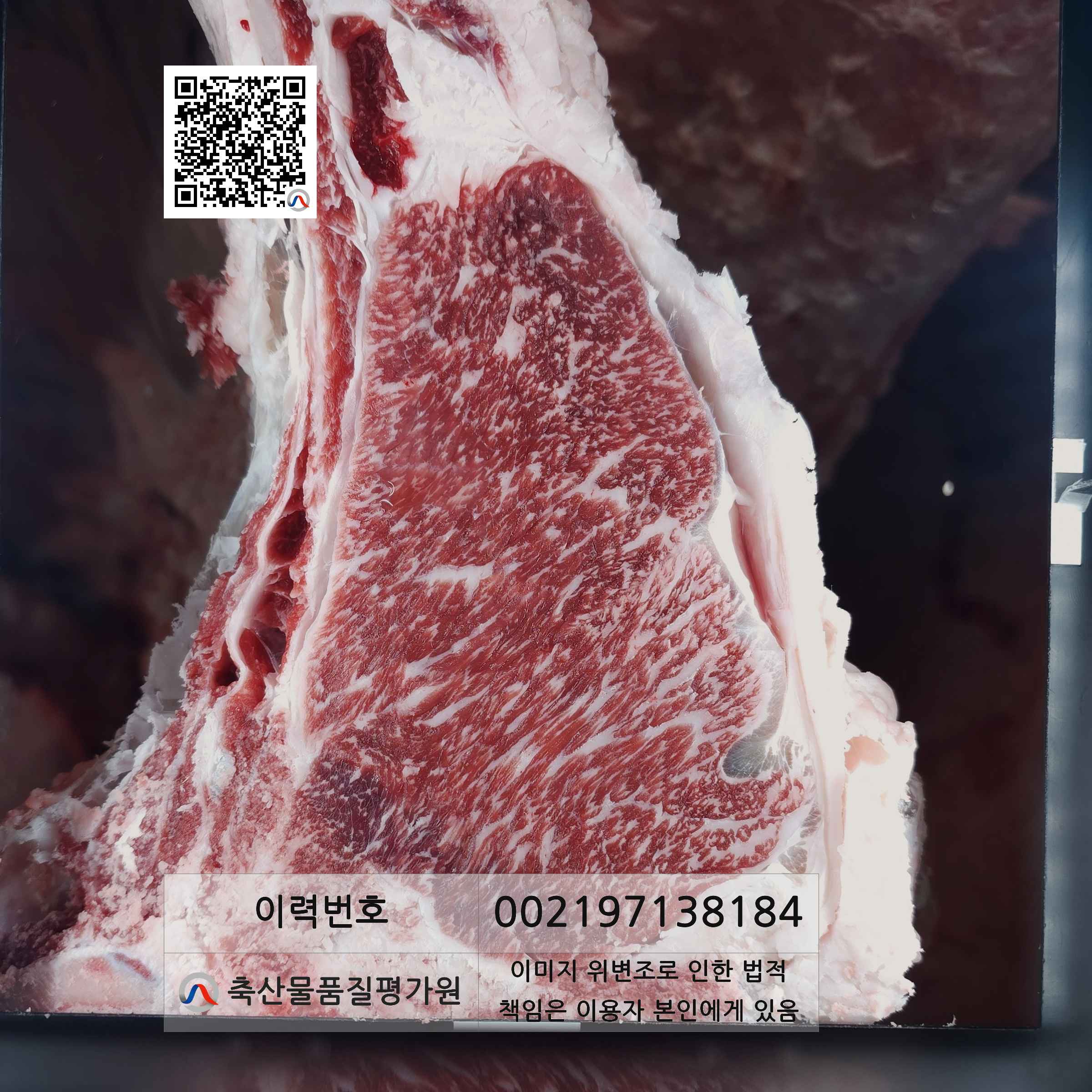 등심단면적 사진