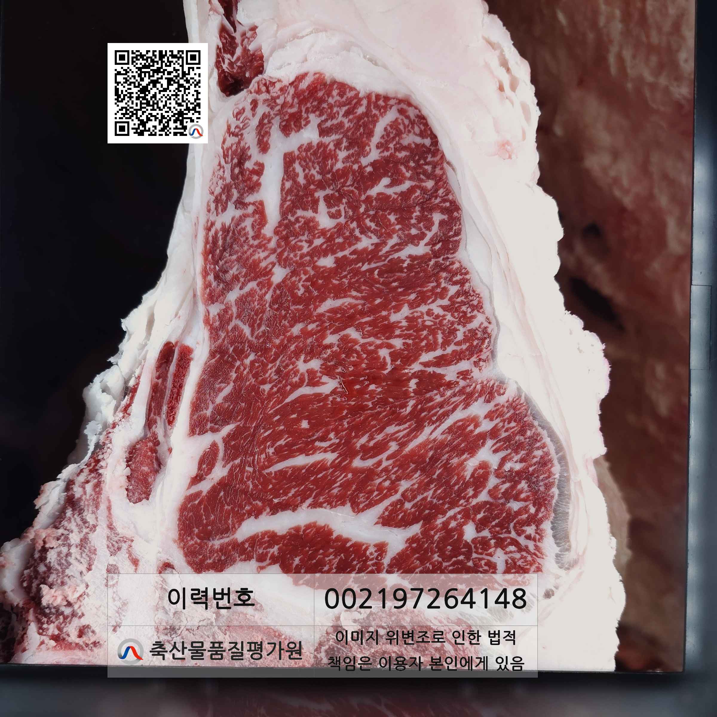 등심단면적 사진