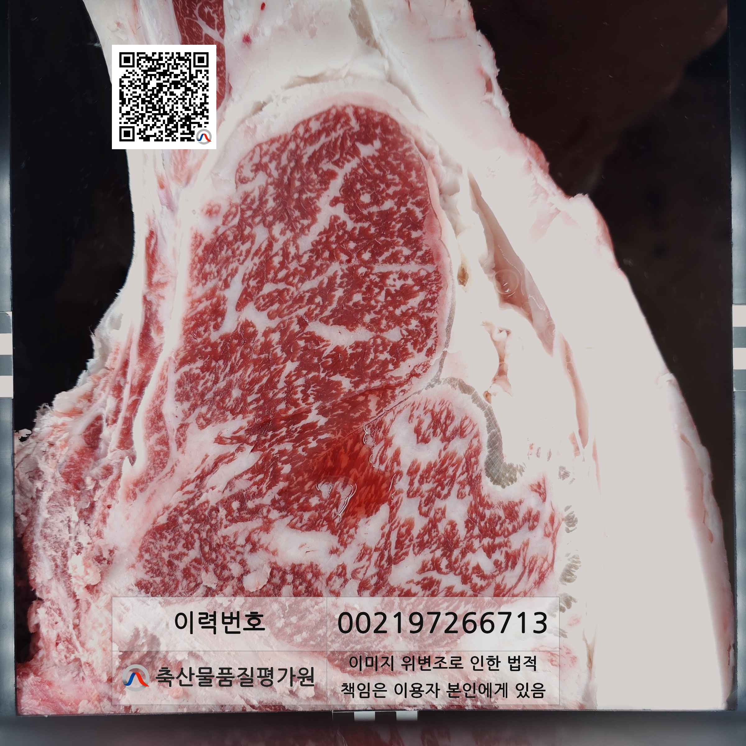 등심단면적 사진