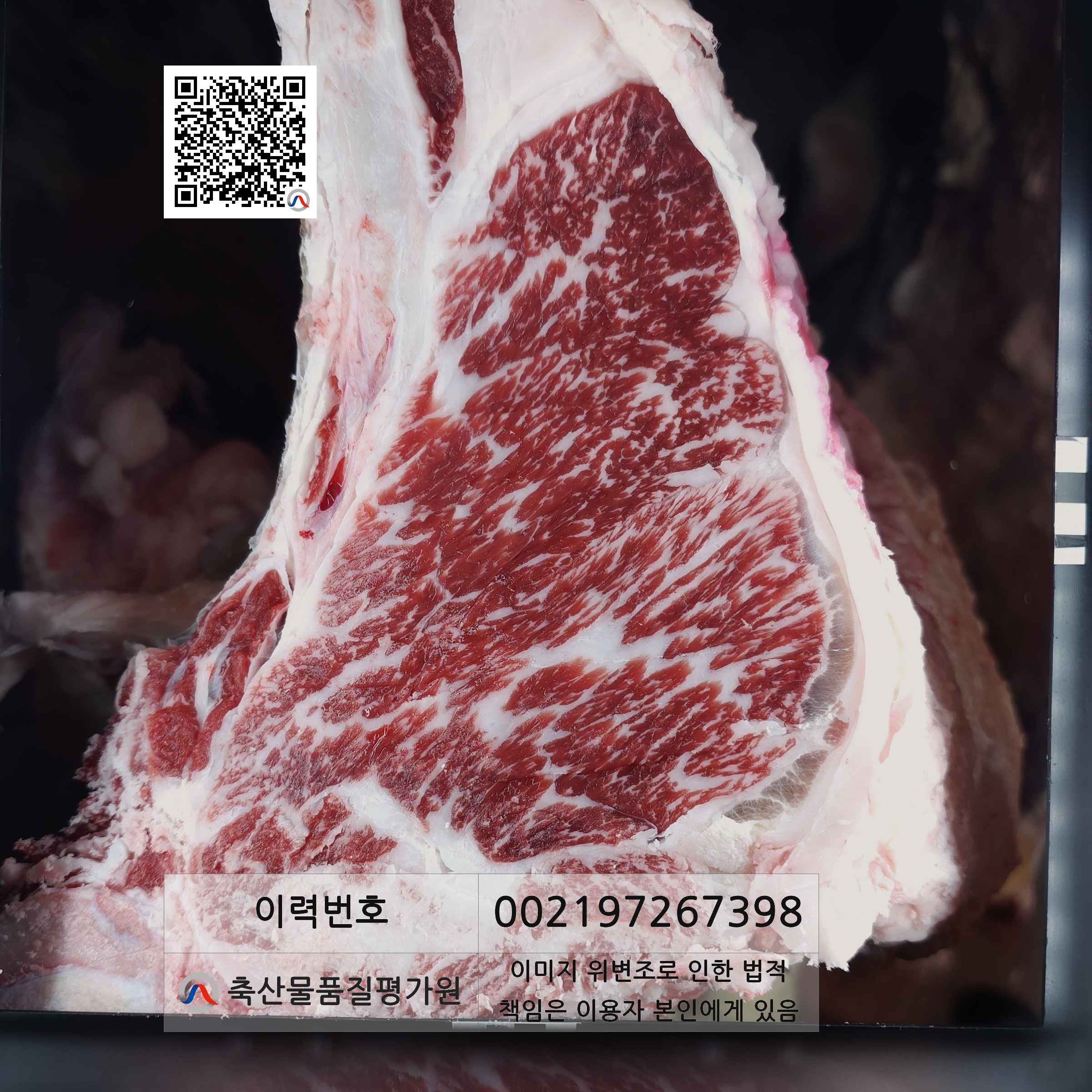 등심단면적 사진