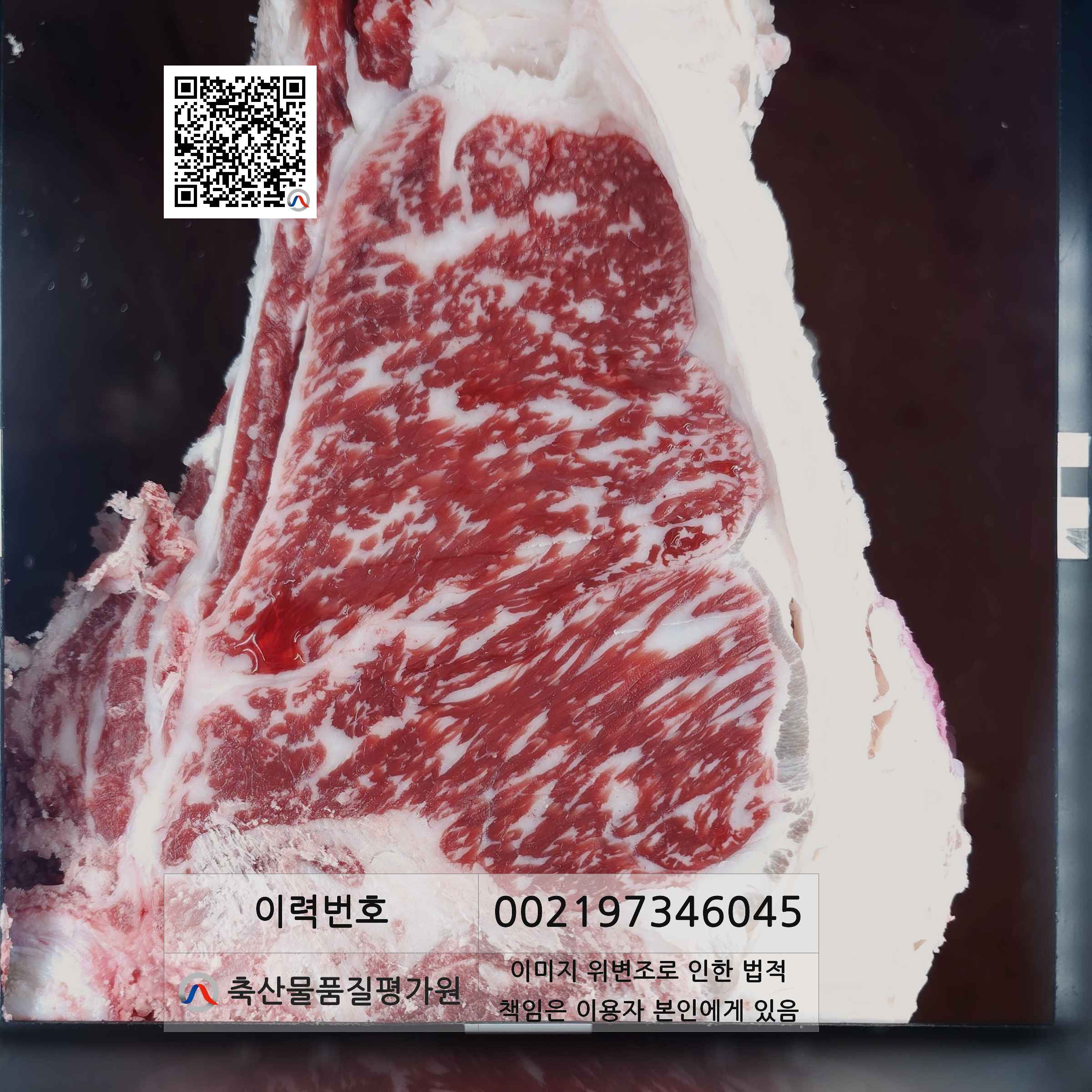 등심단면적 사진