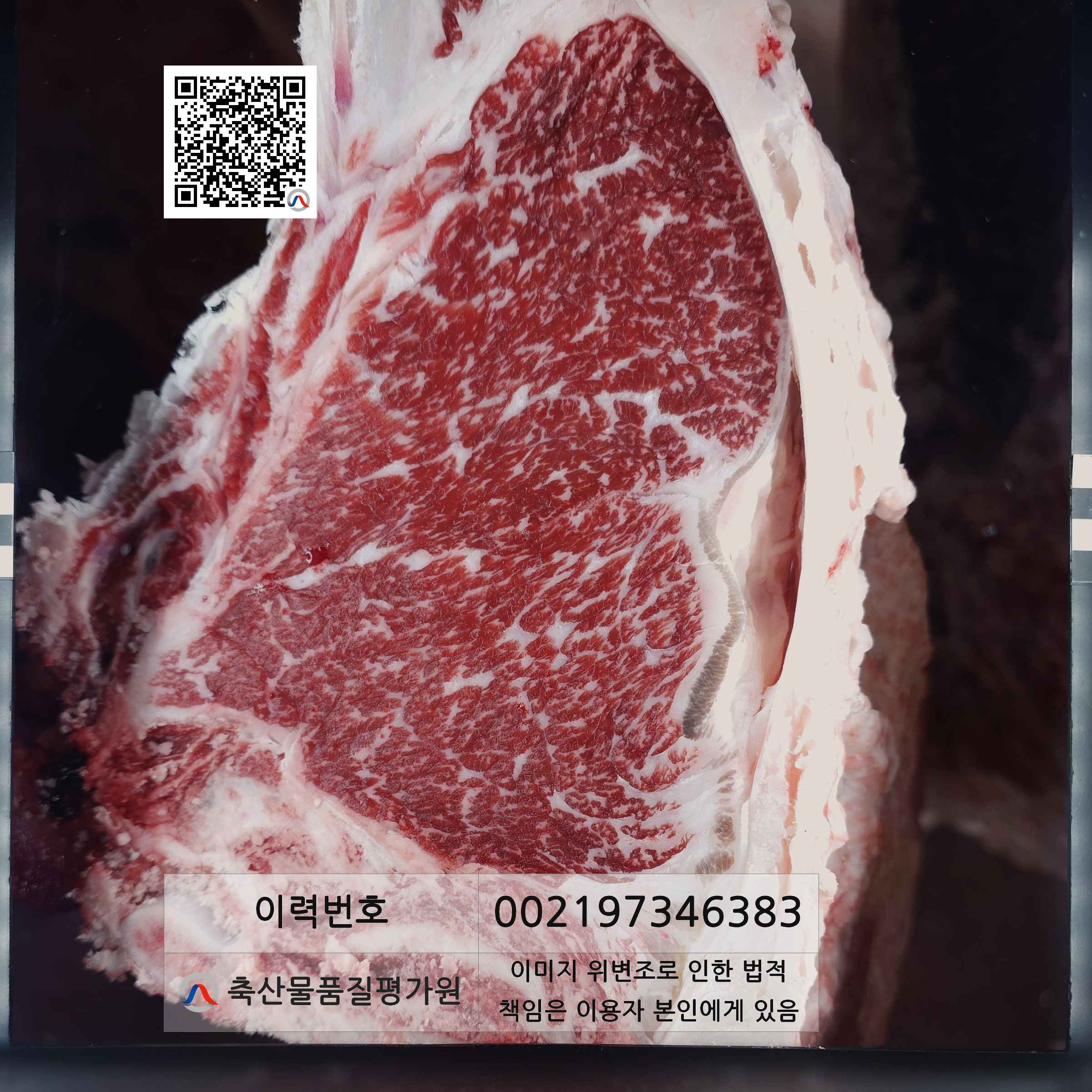 등심단면적 사진