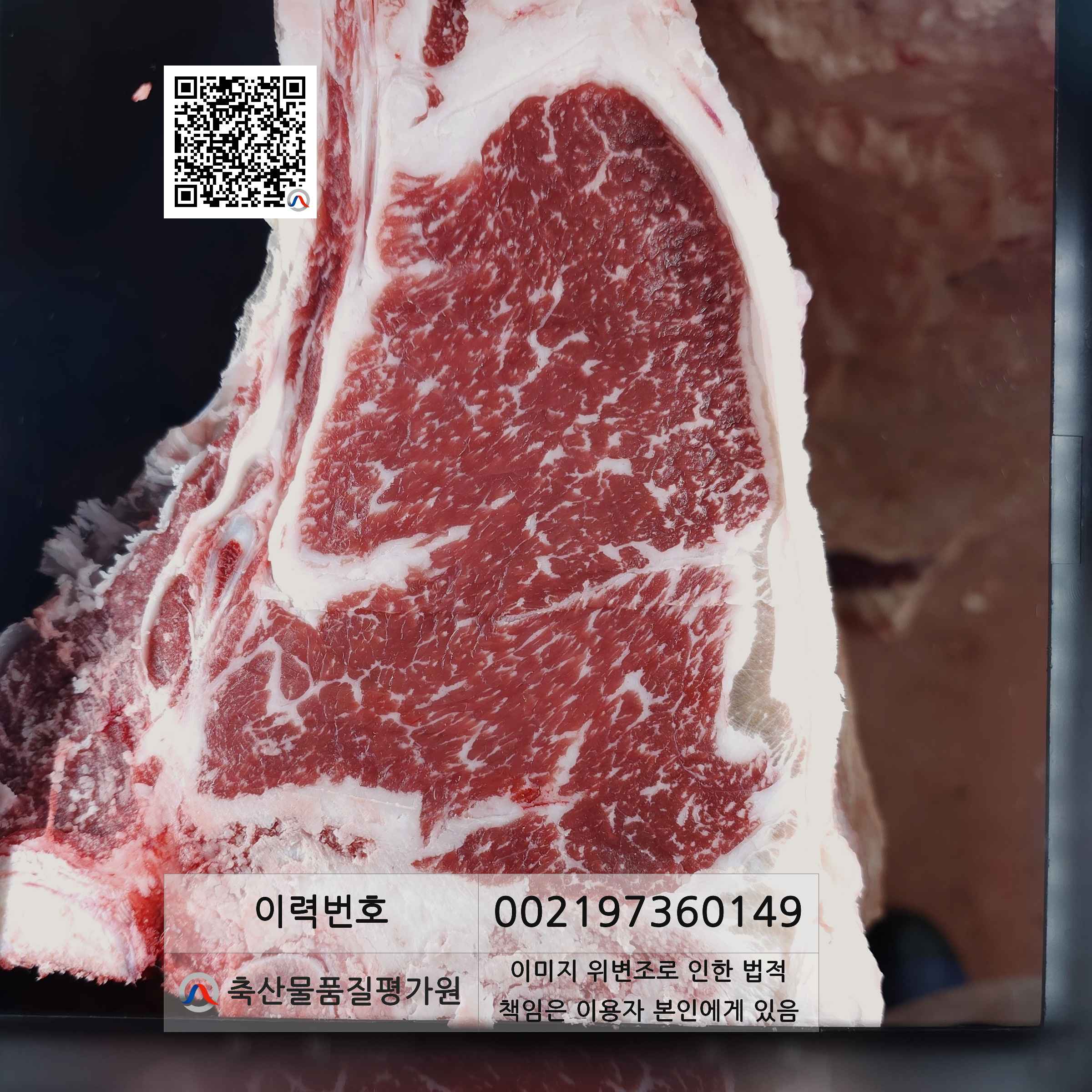 등심단면적 사진