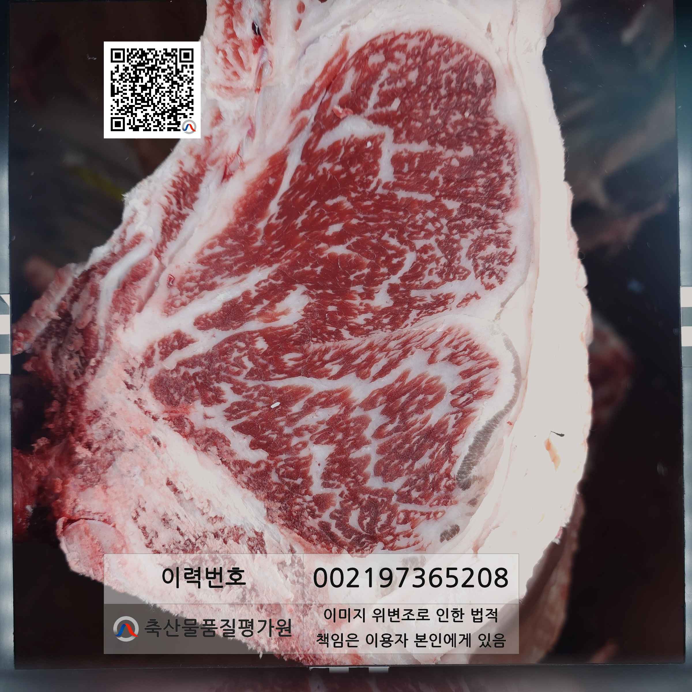 등심단면적 사진