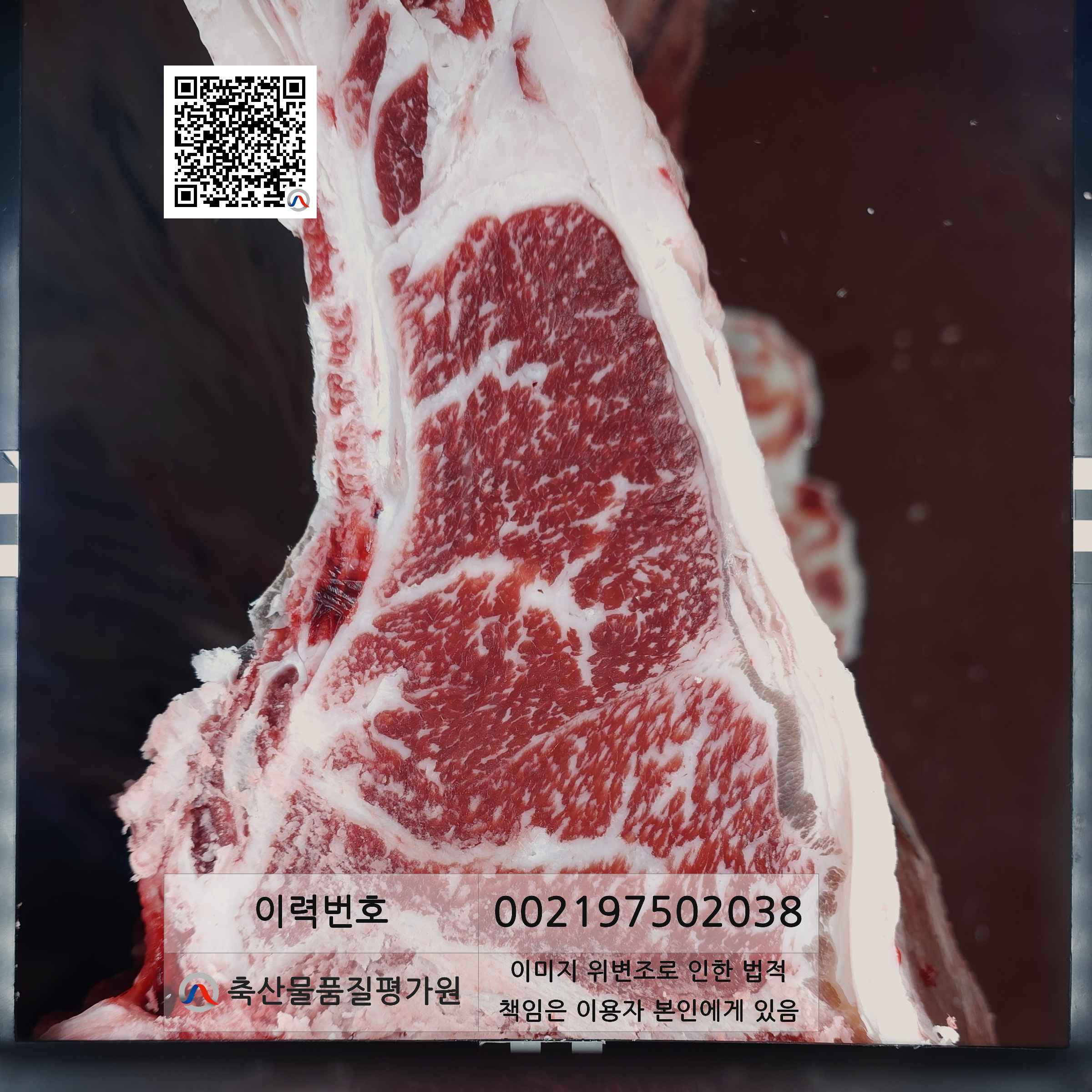등심단면적 사진