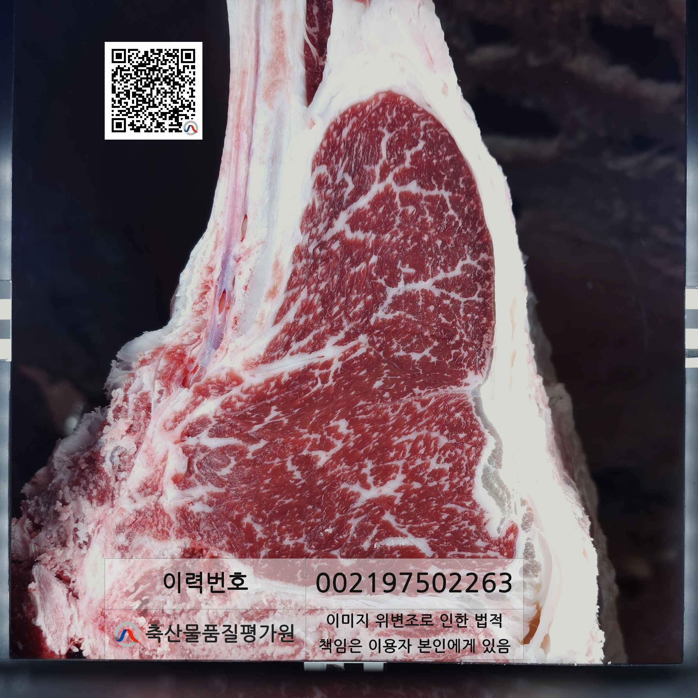 등심단면적 사진