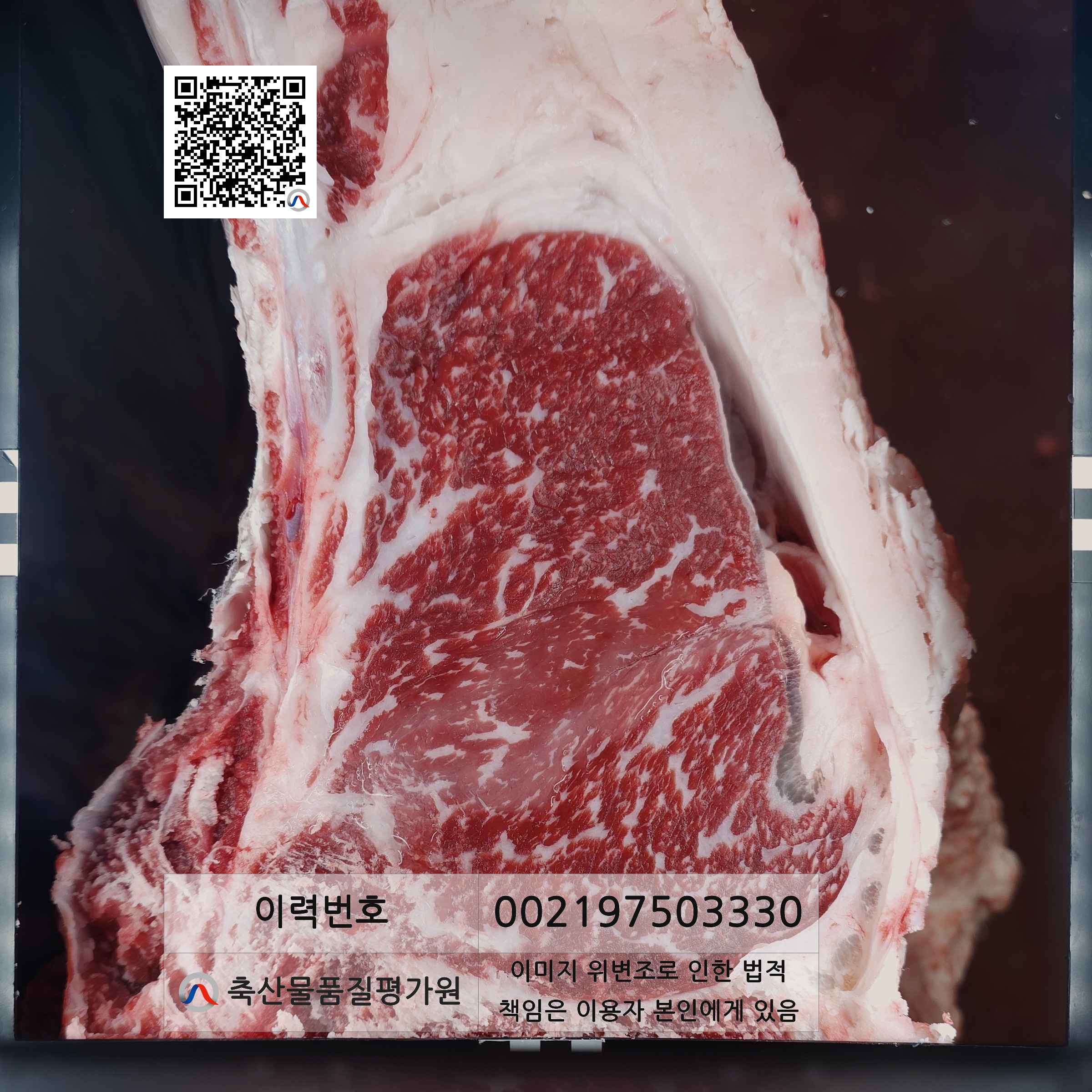 등심단면적 사진