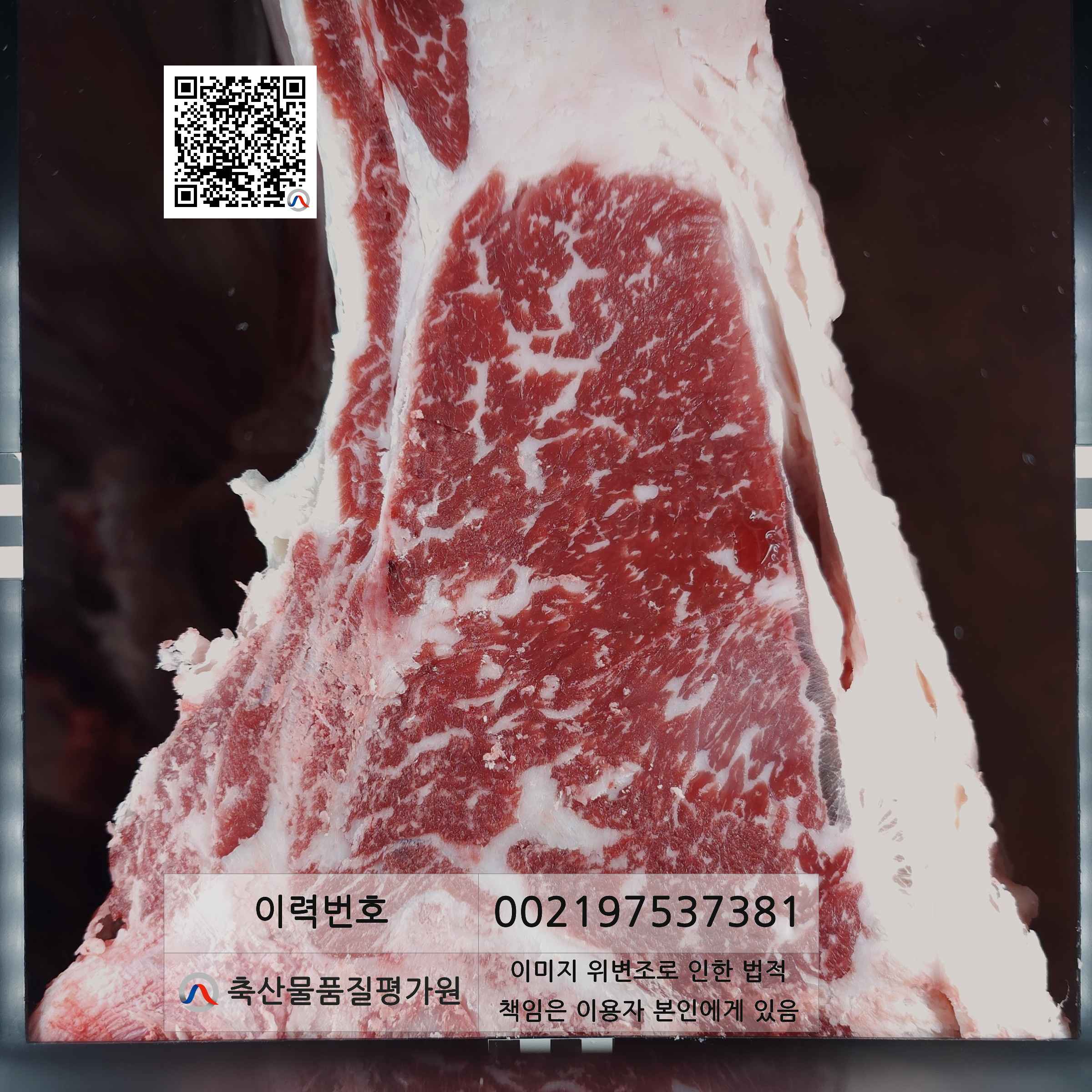 등심단면적 사진