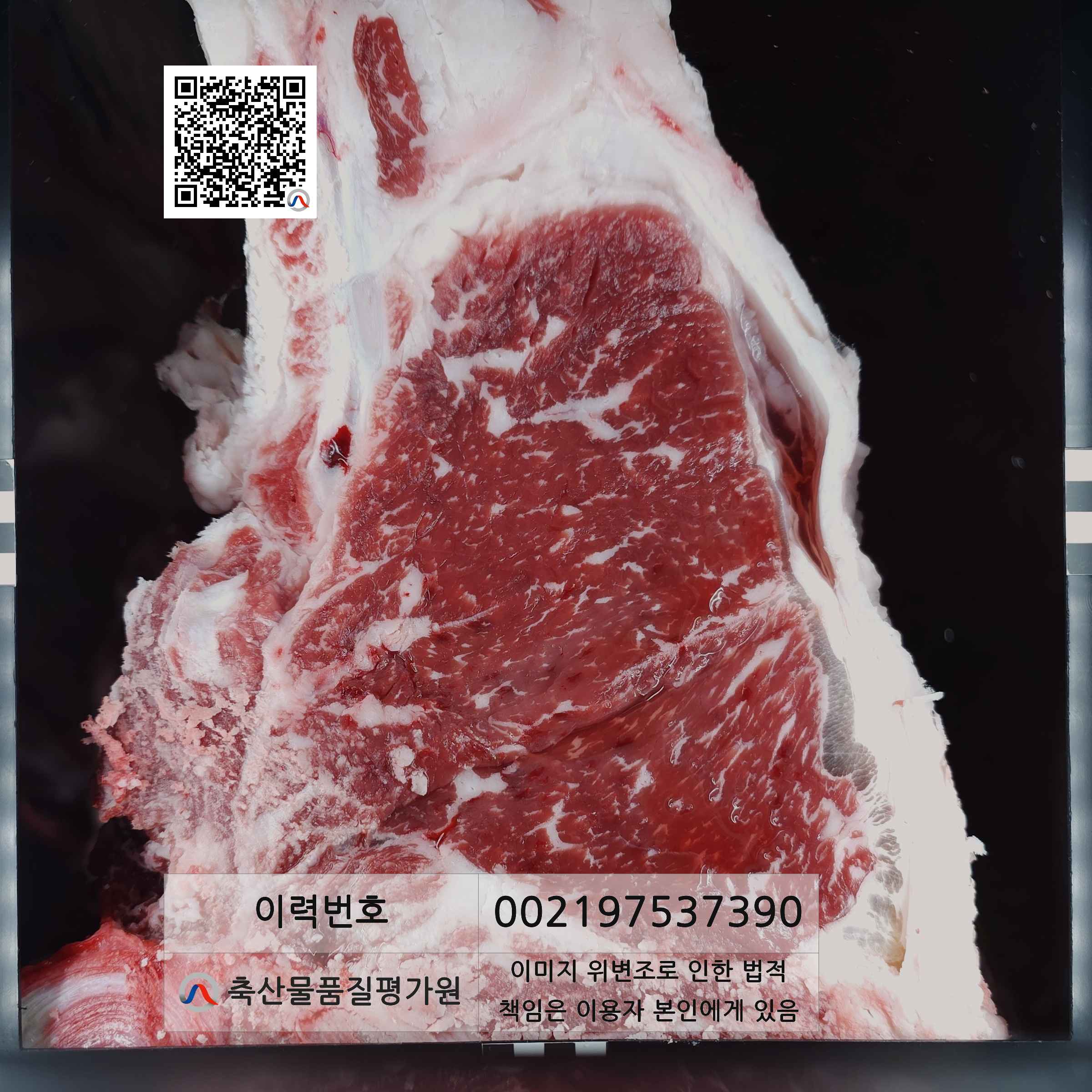 등심단면적 사진