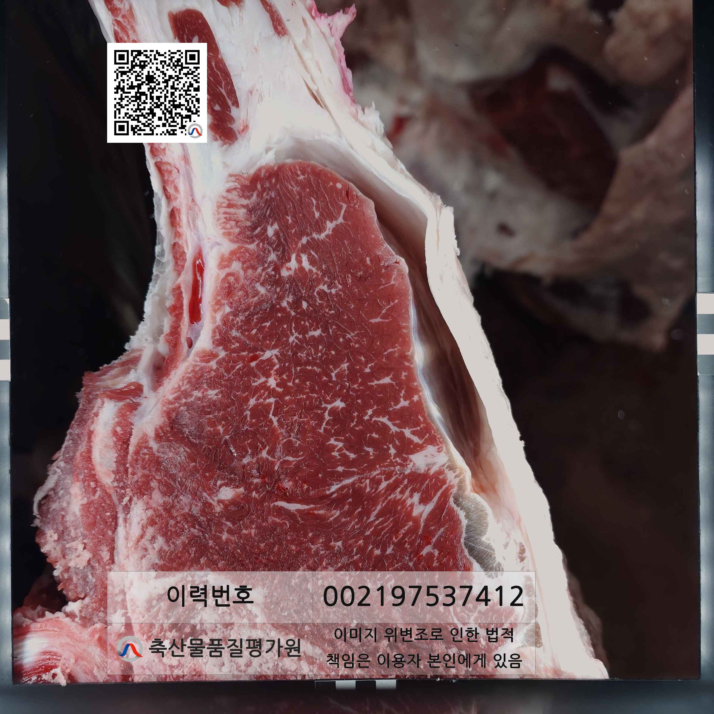 등심단면적 사진