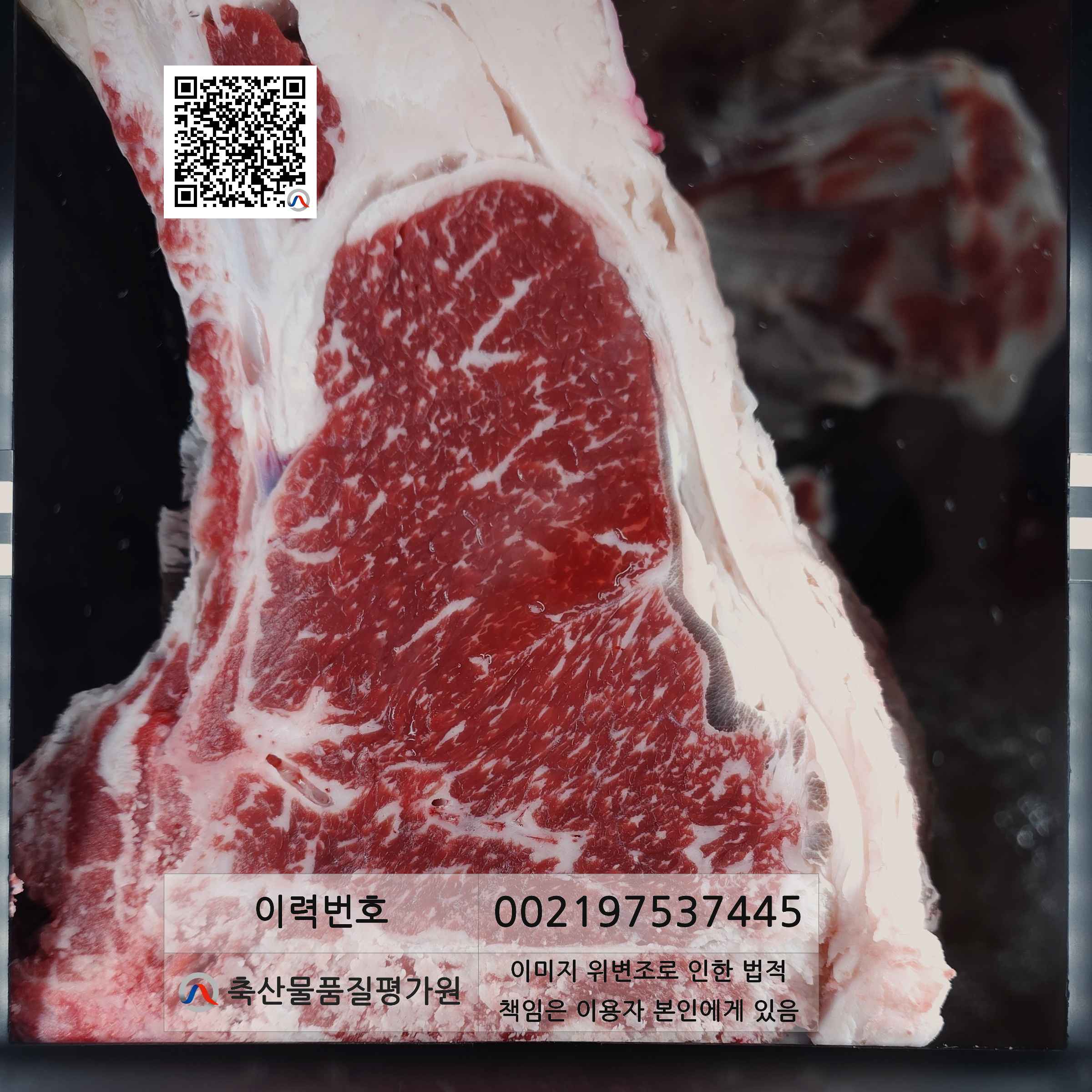 등심단면적 사진
