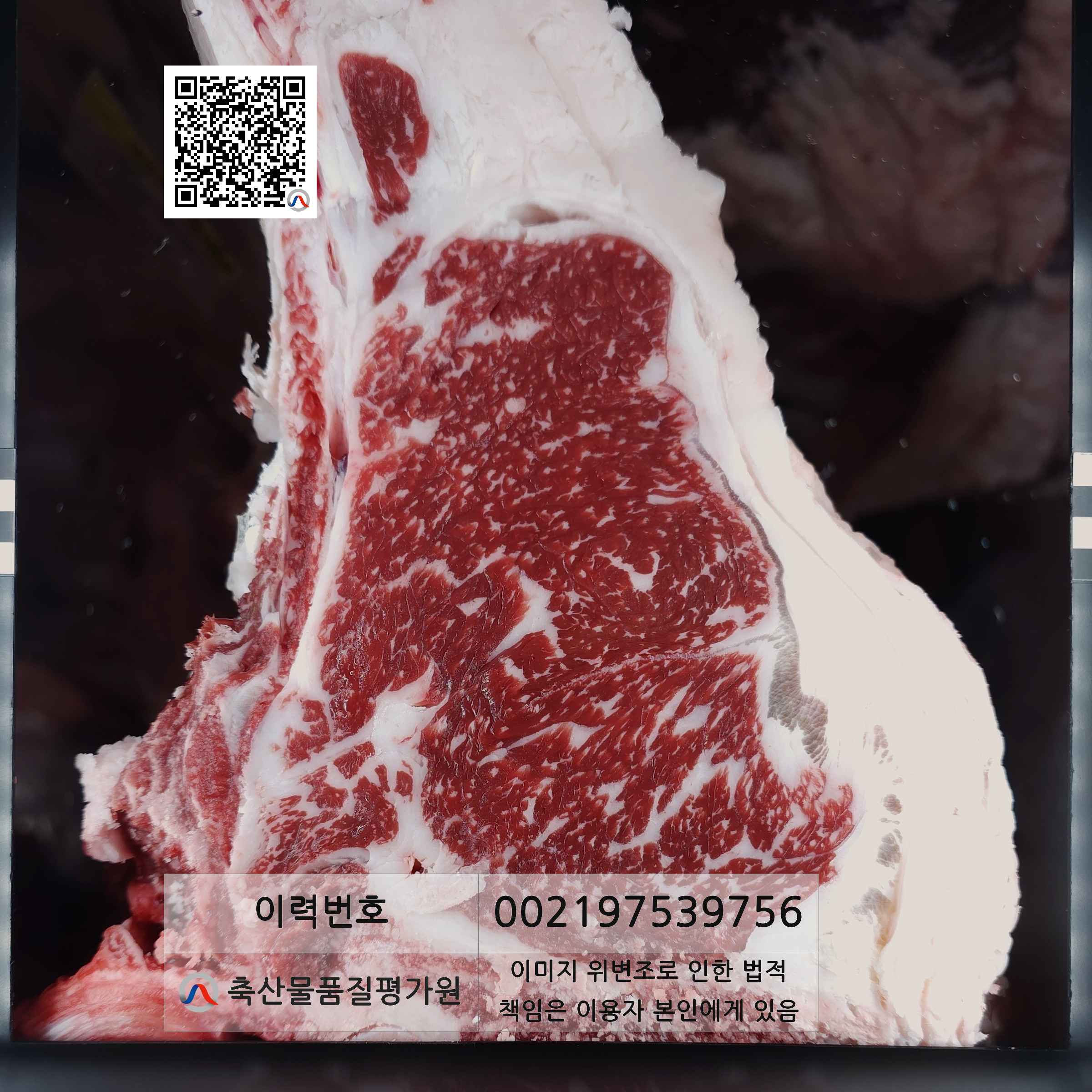 등심단면적 사진