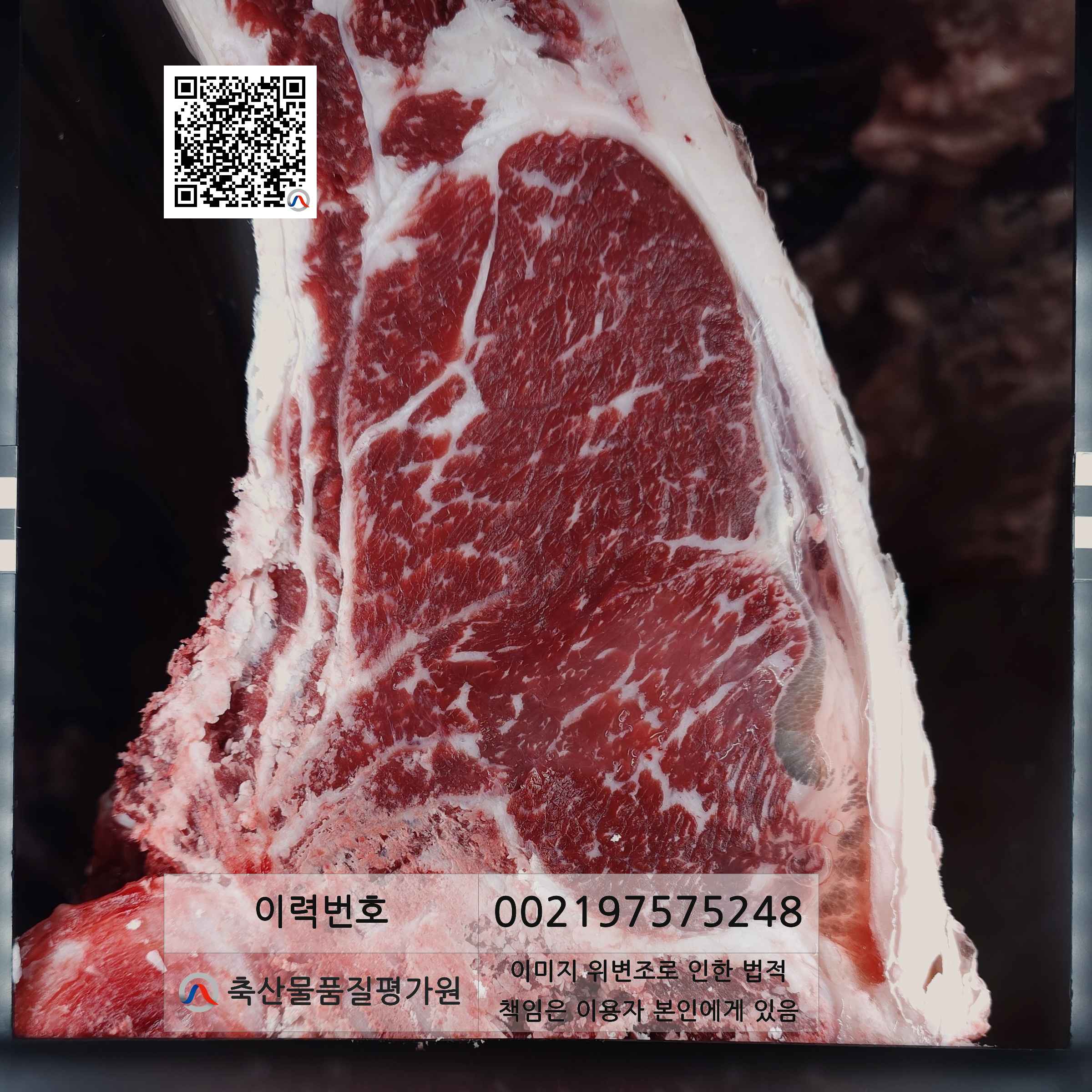 등심단면적 사진