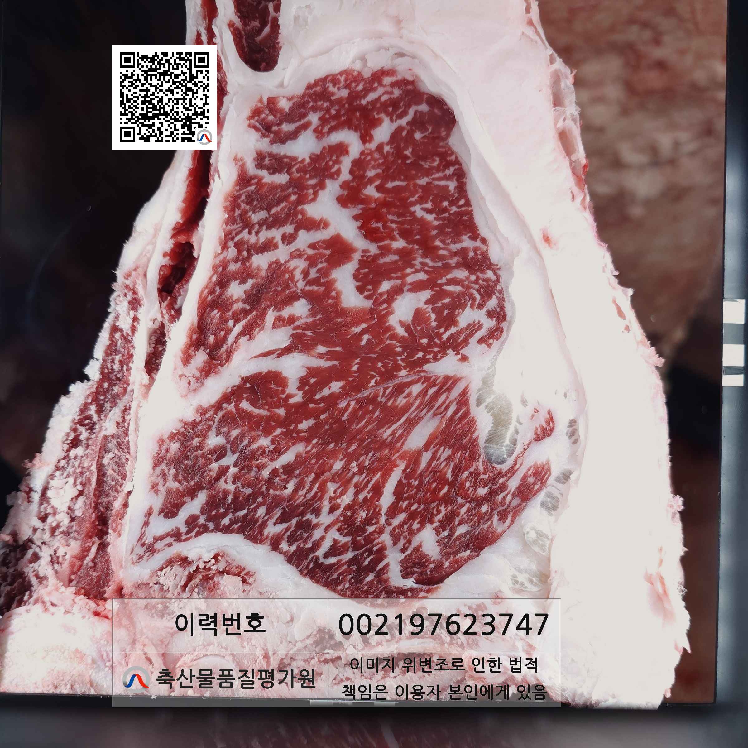 등심단면적 사진