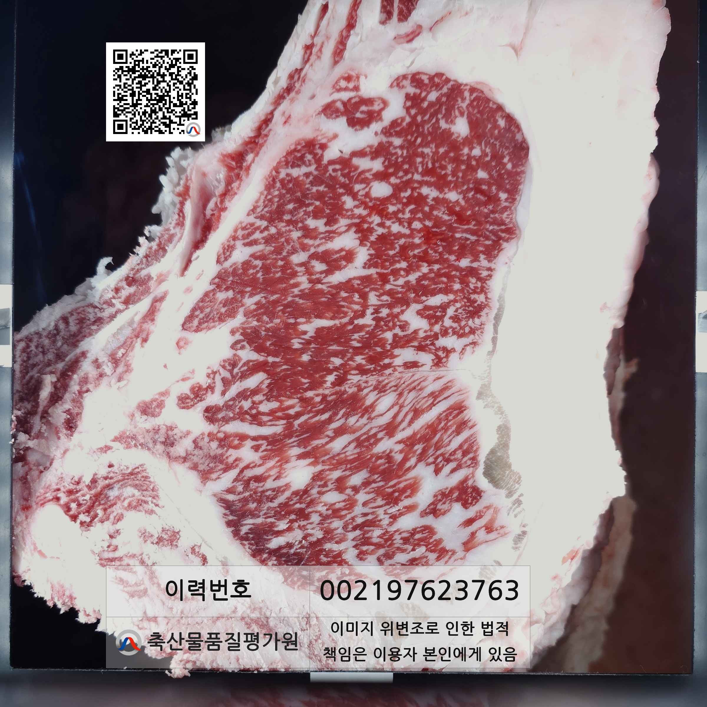 등심단면적 사진