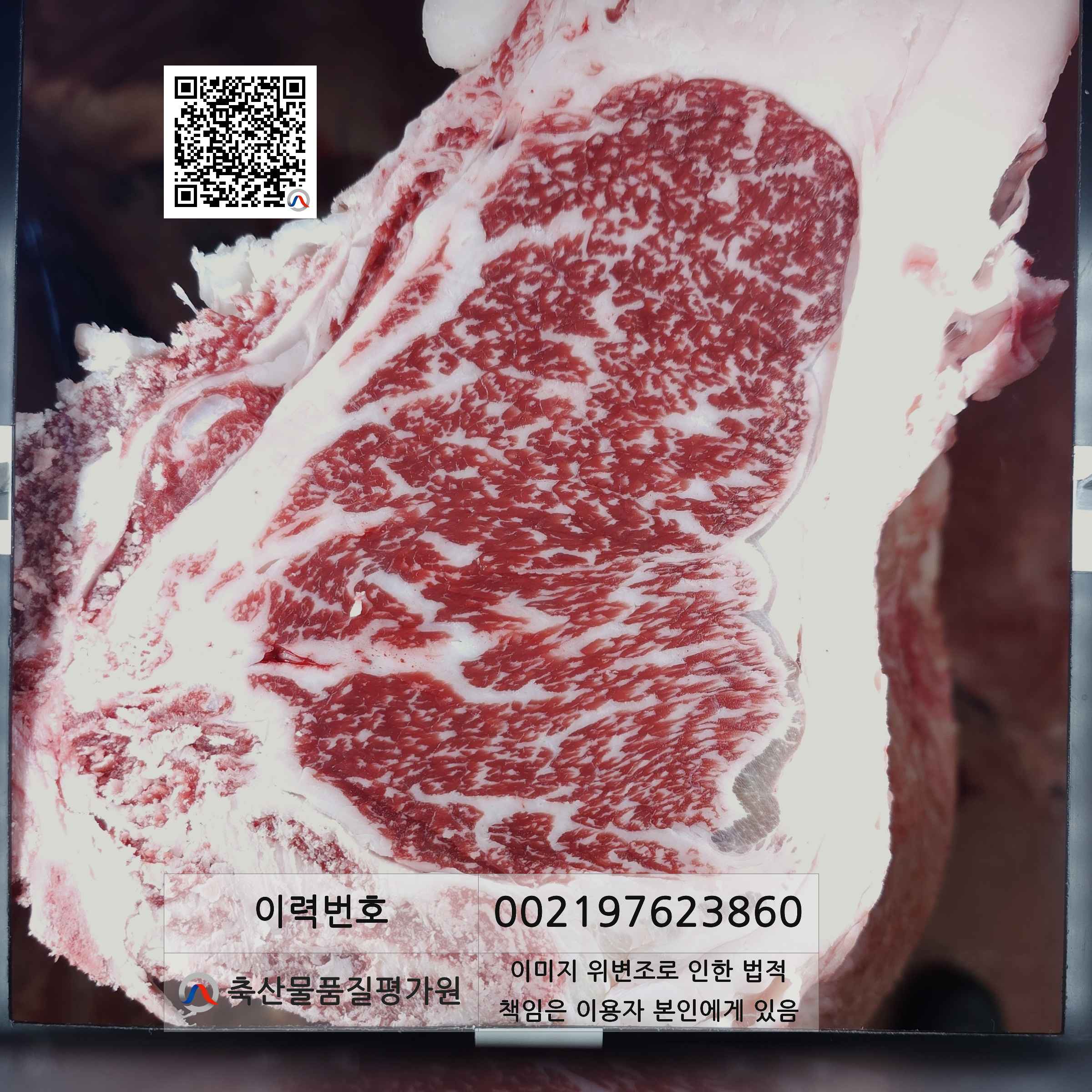 등심단면적 사진