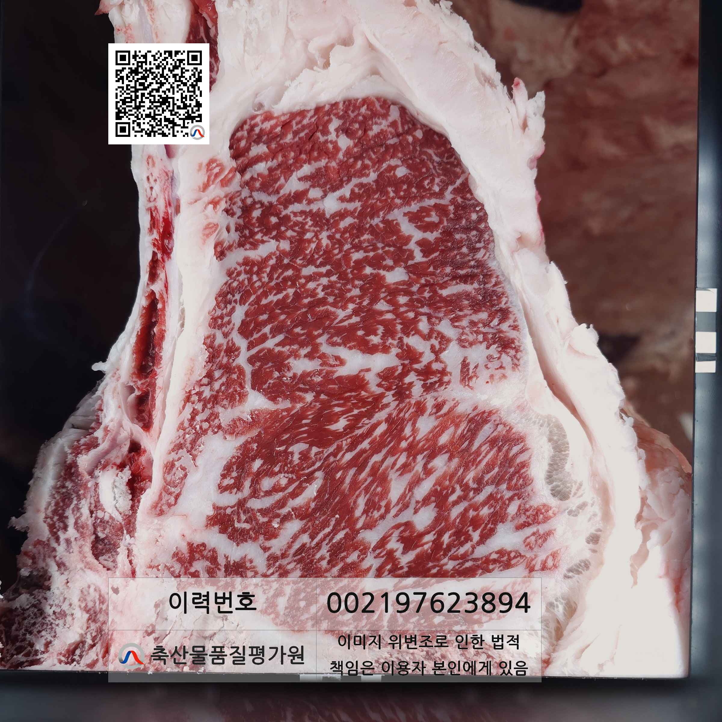 등심단면적 사진