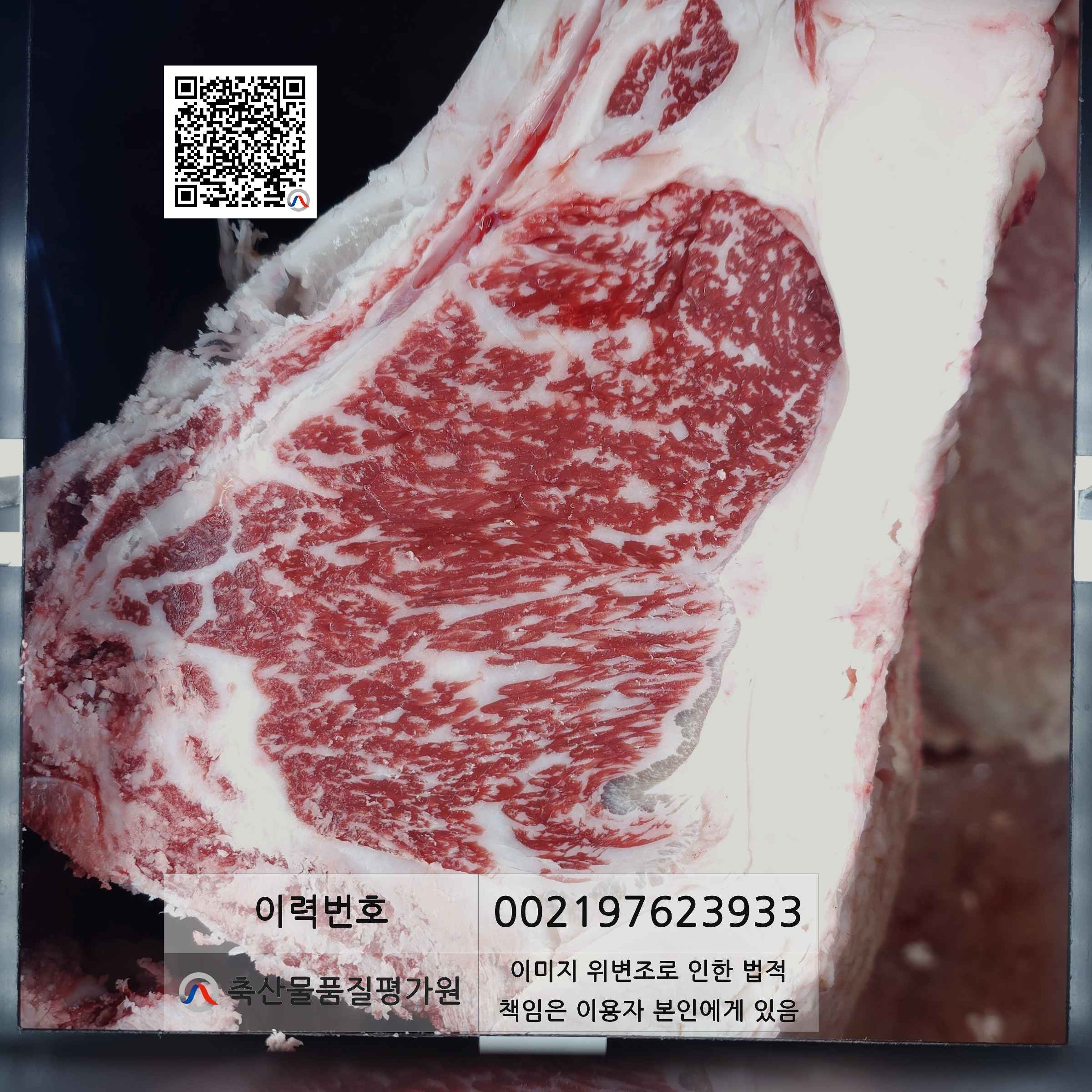 등심단면적 사진