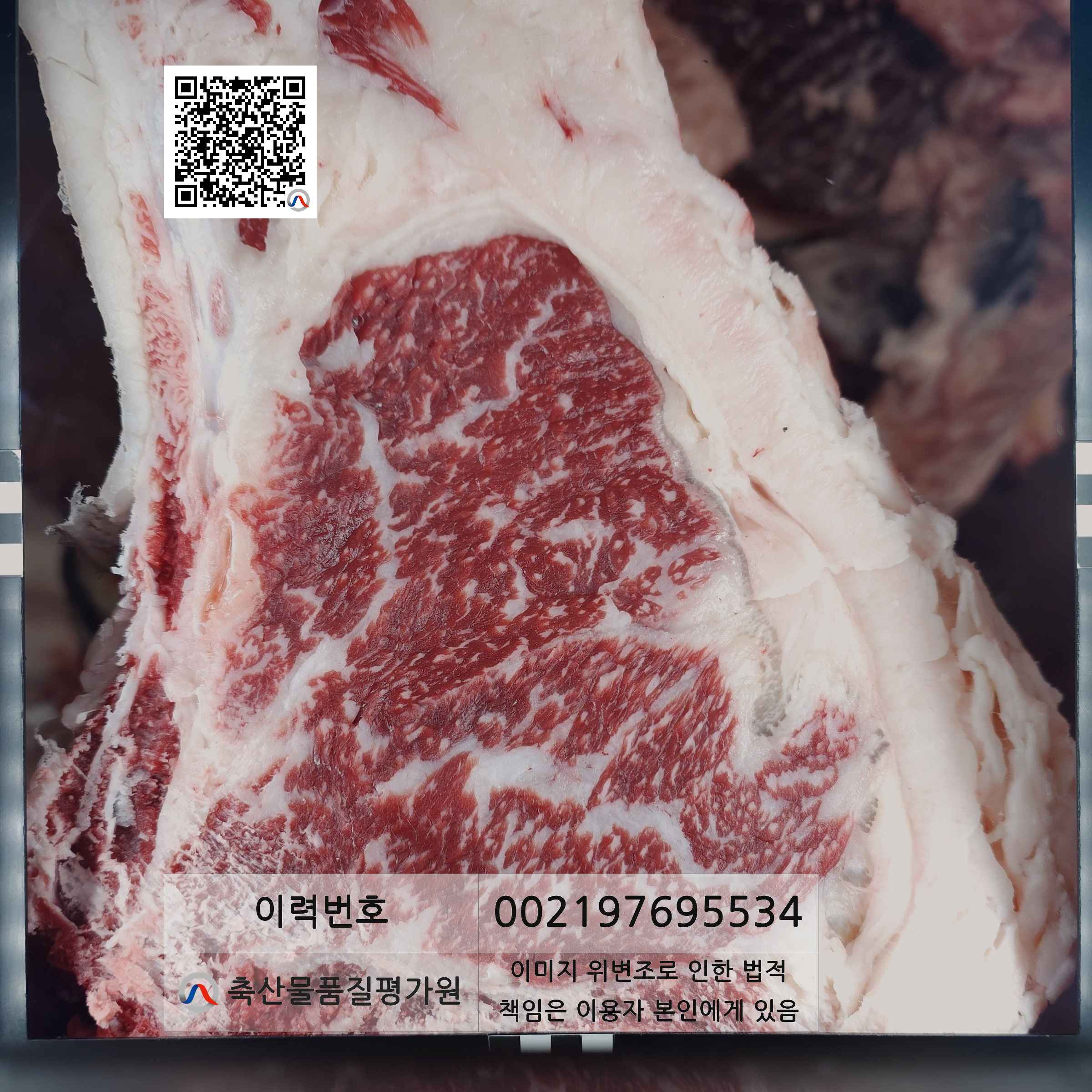 등심단면적 사진