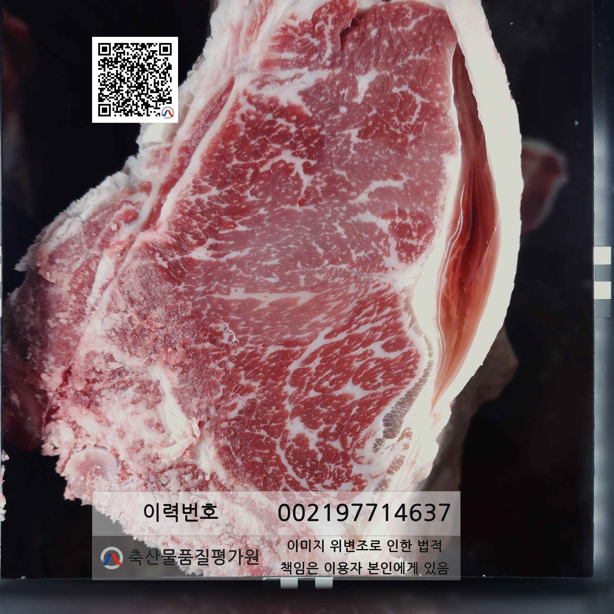 등심단면적 사진