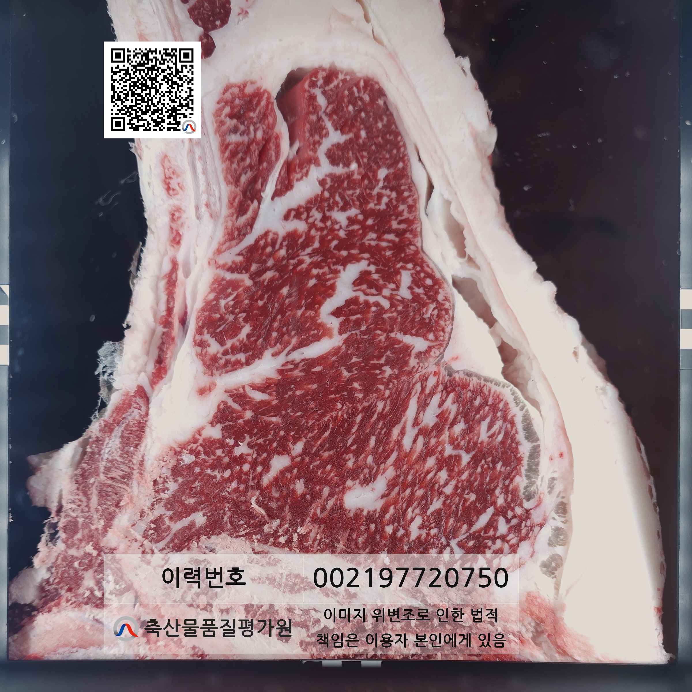 등심단면적 사진