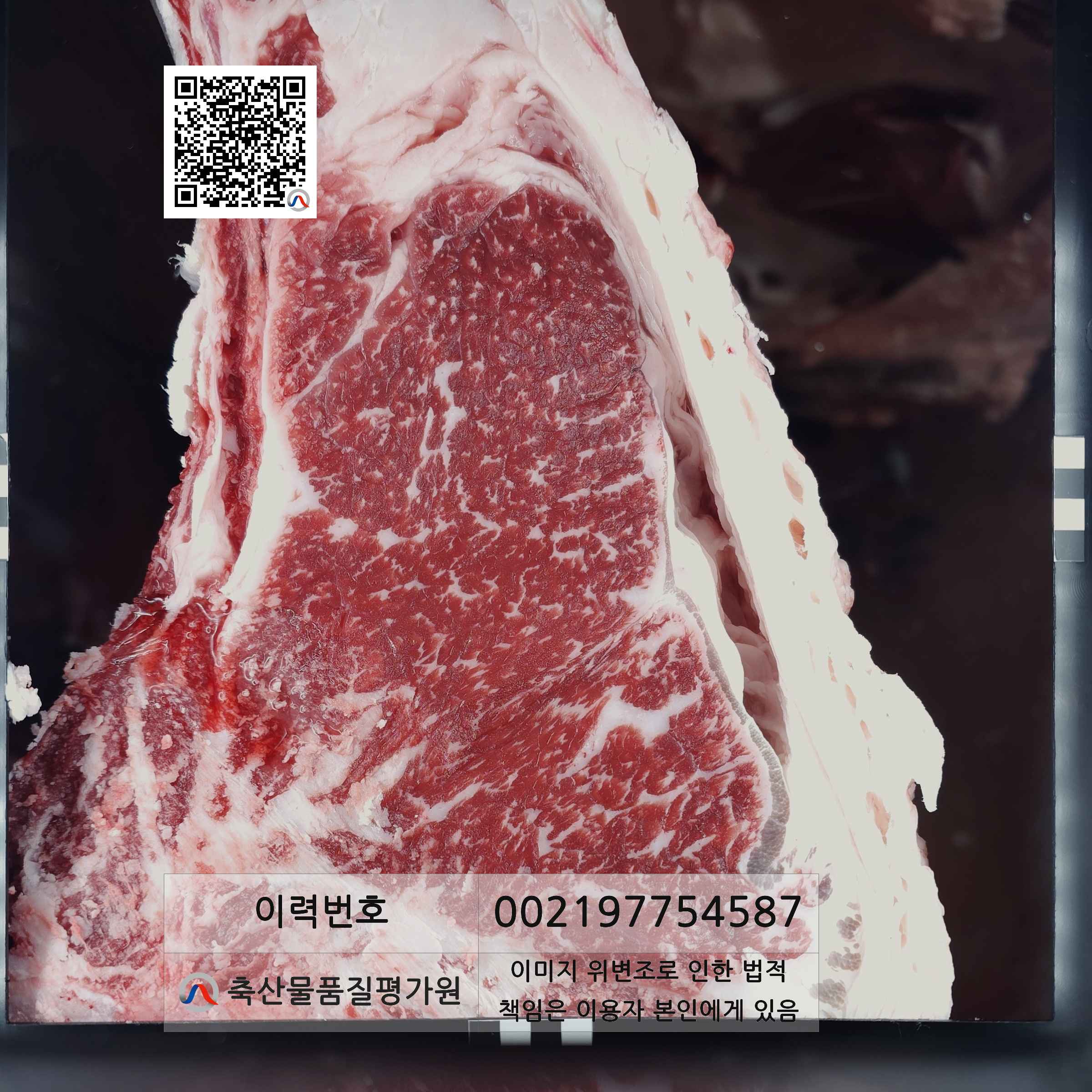 등심단면적 사진