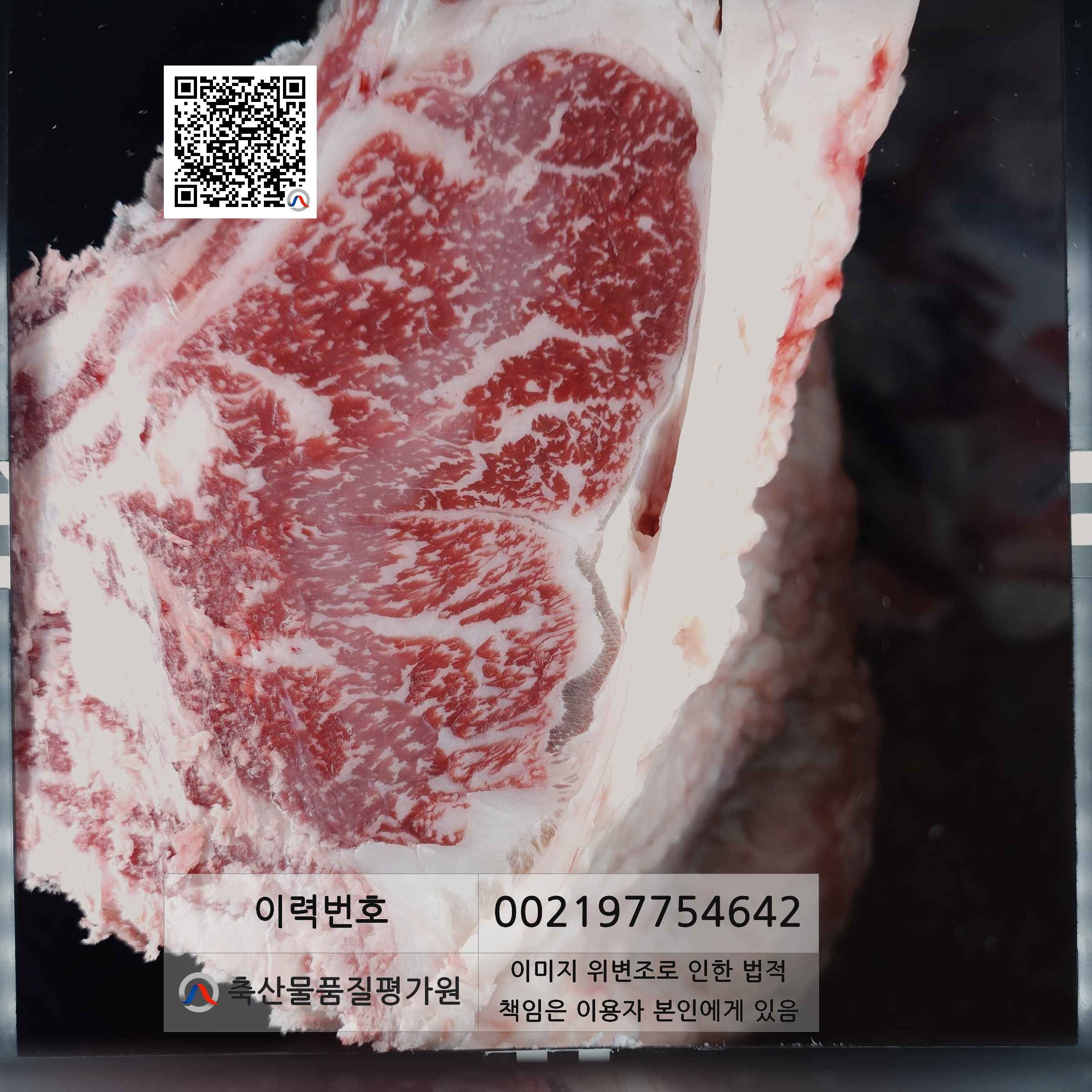 등심단면적 사진