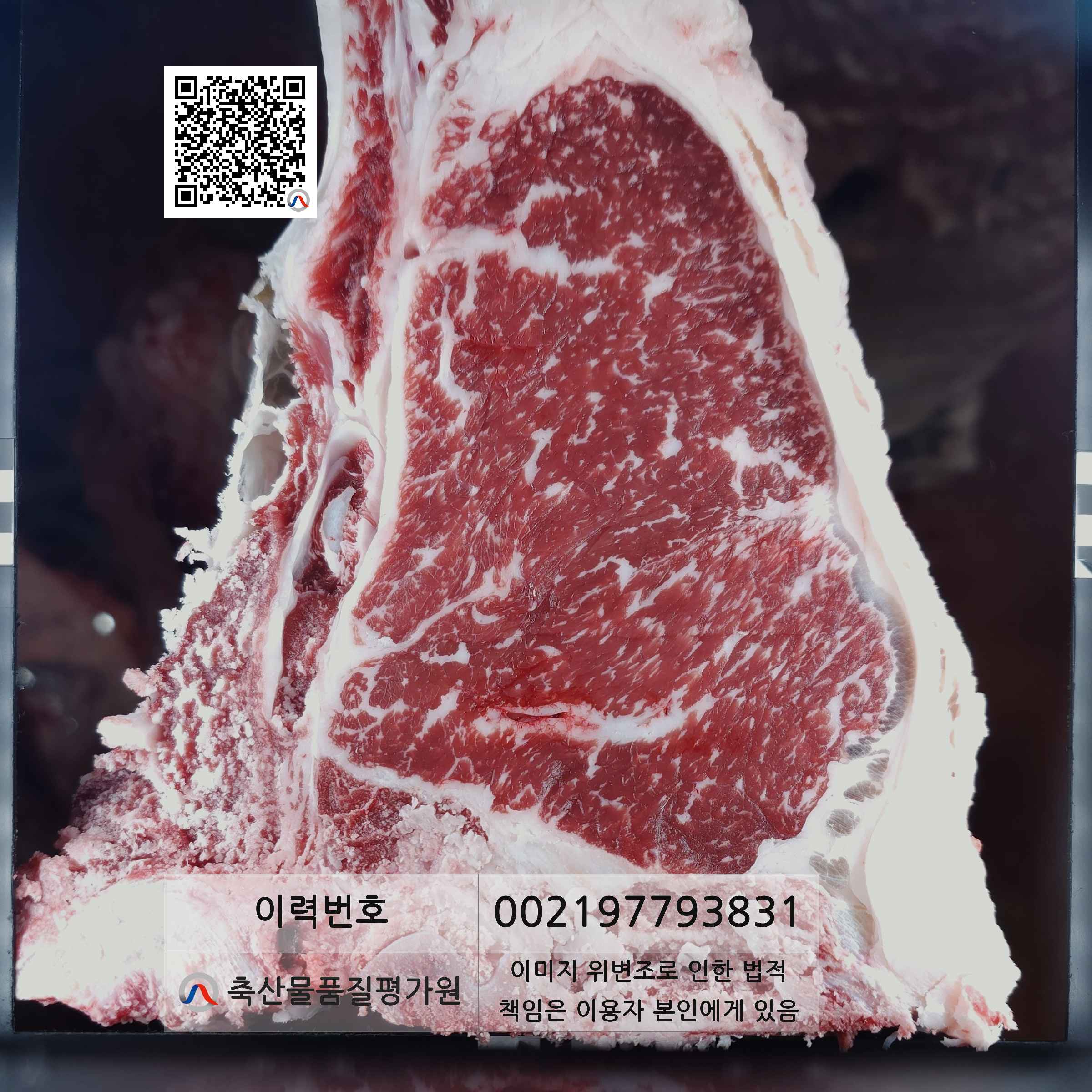 등심단면적 사진