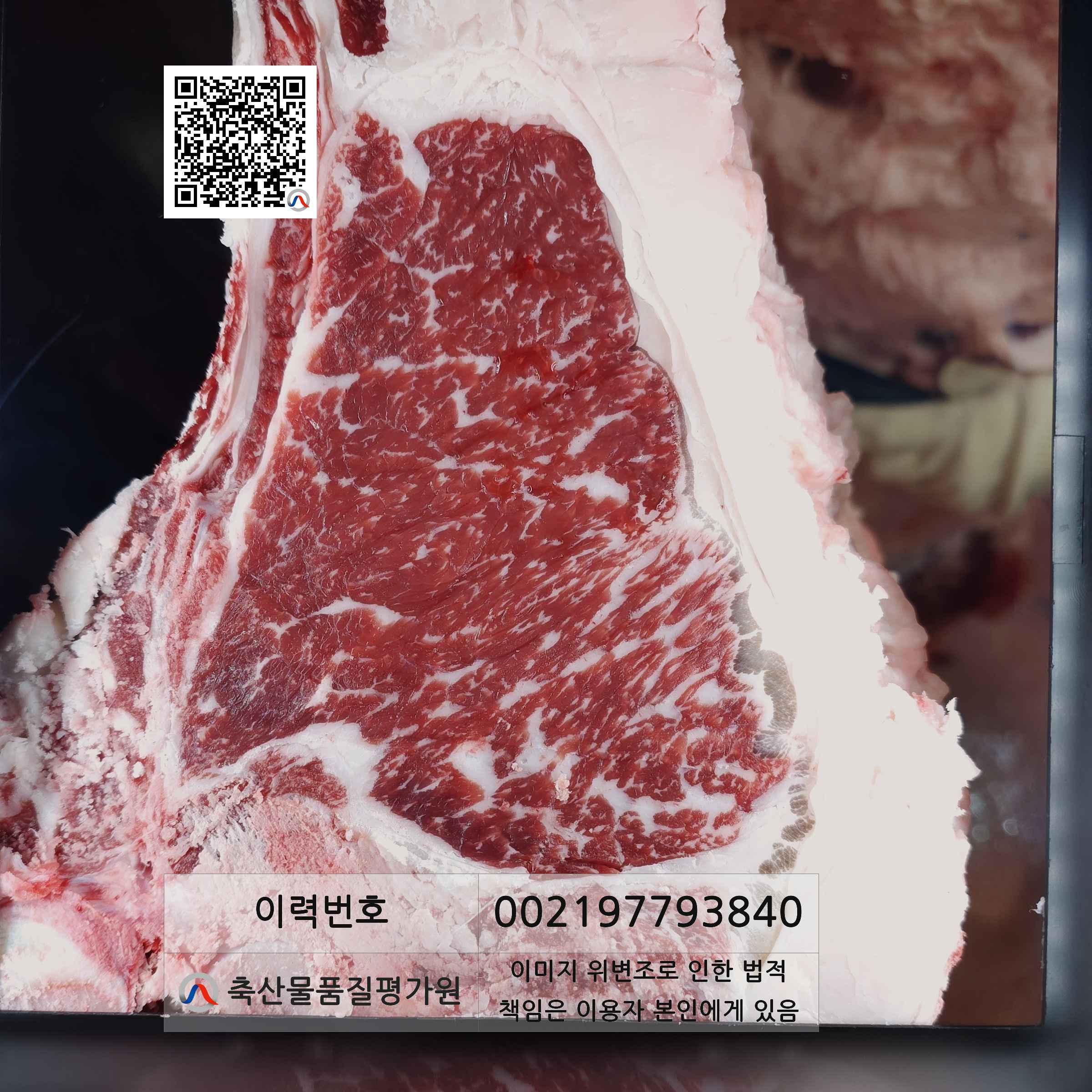 등심단면적 사진