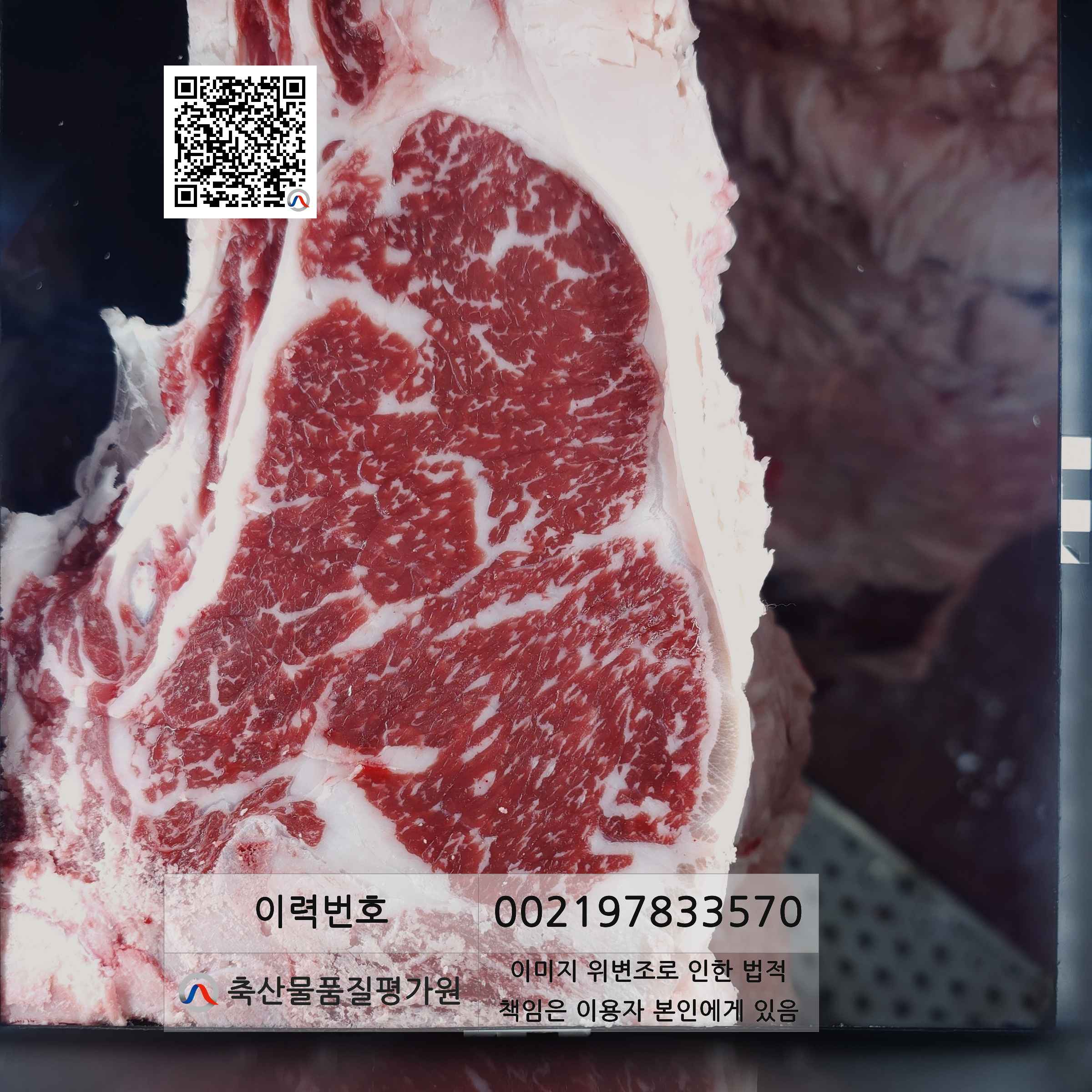 등심단면적 사진