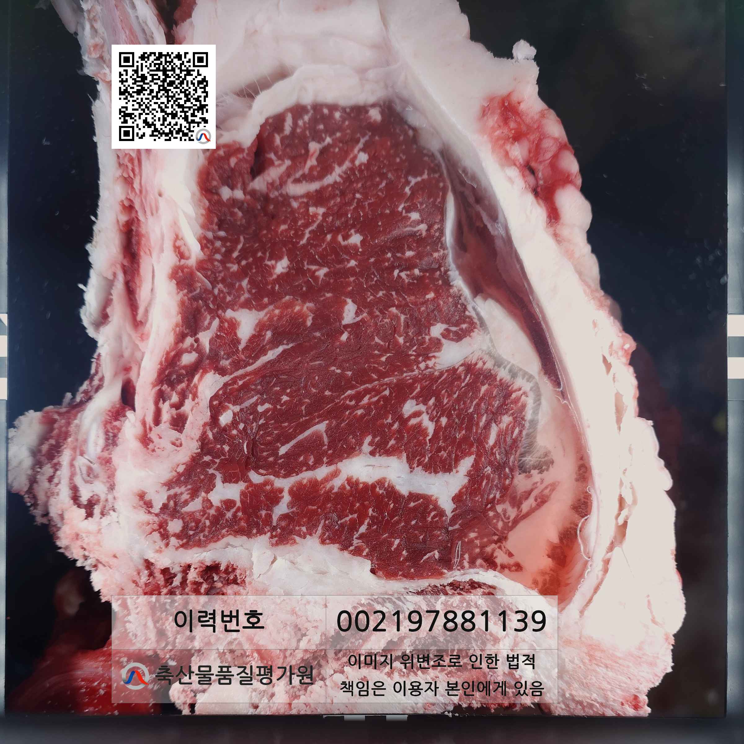 등심단면적 사진