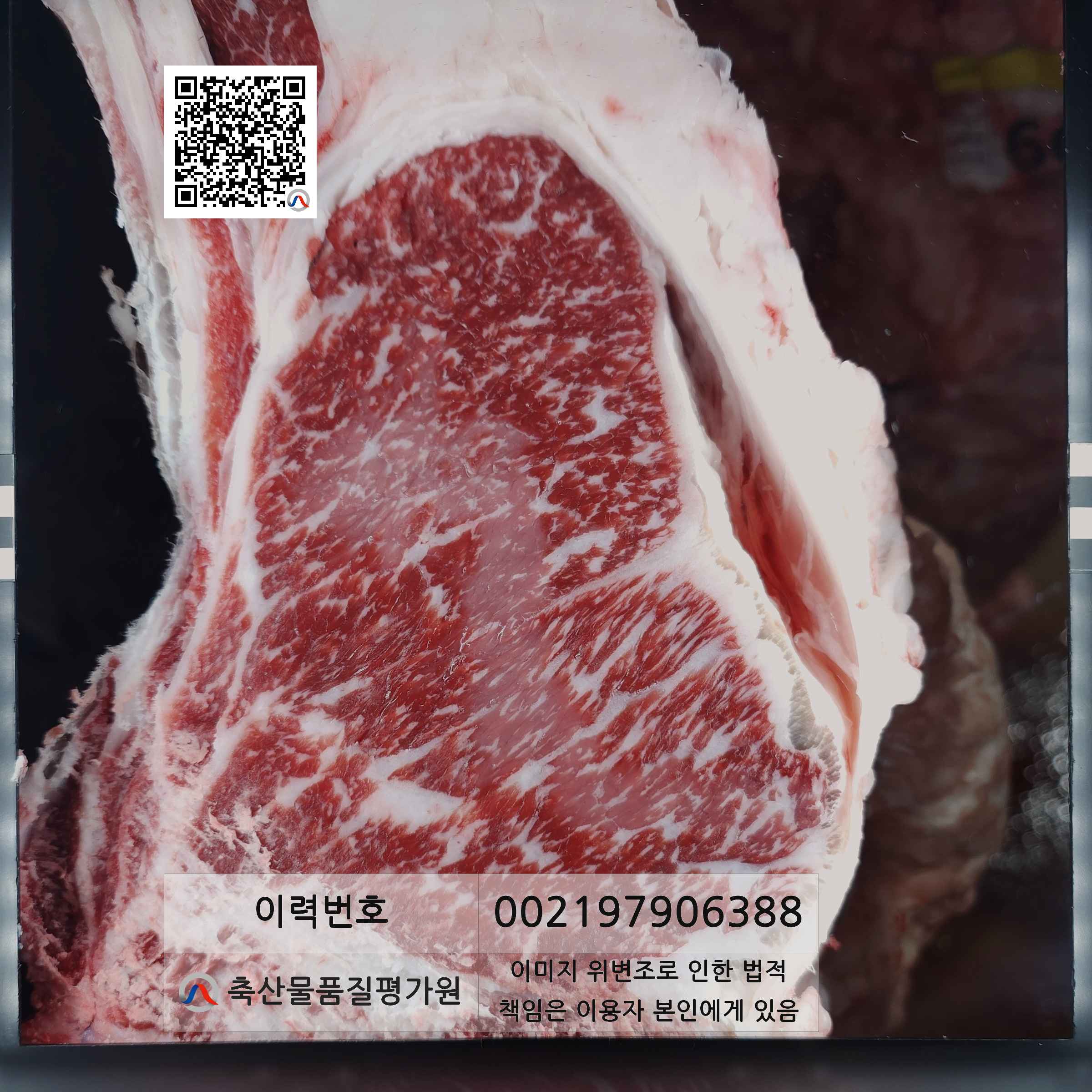 등심단면적 사진