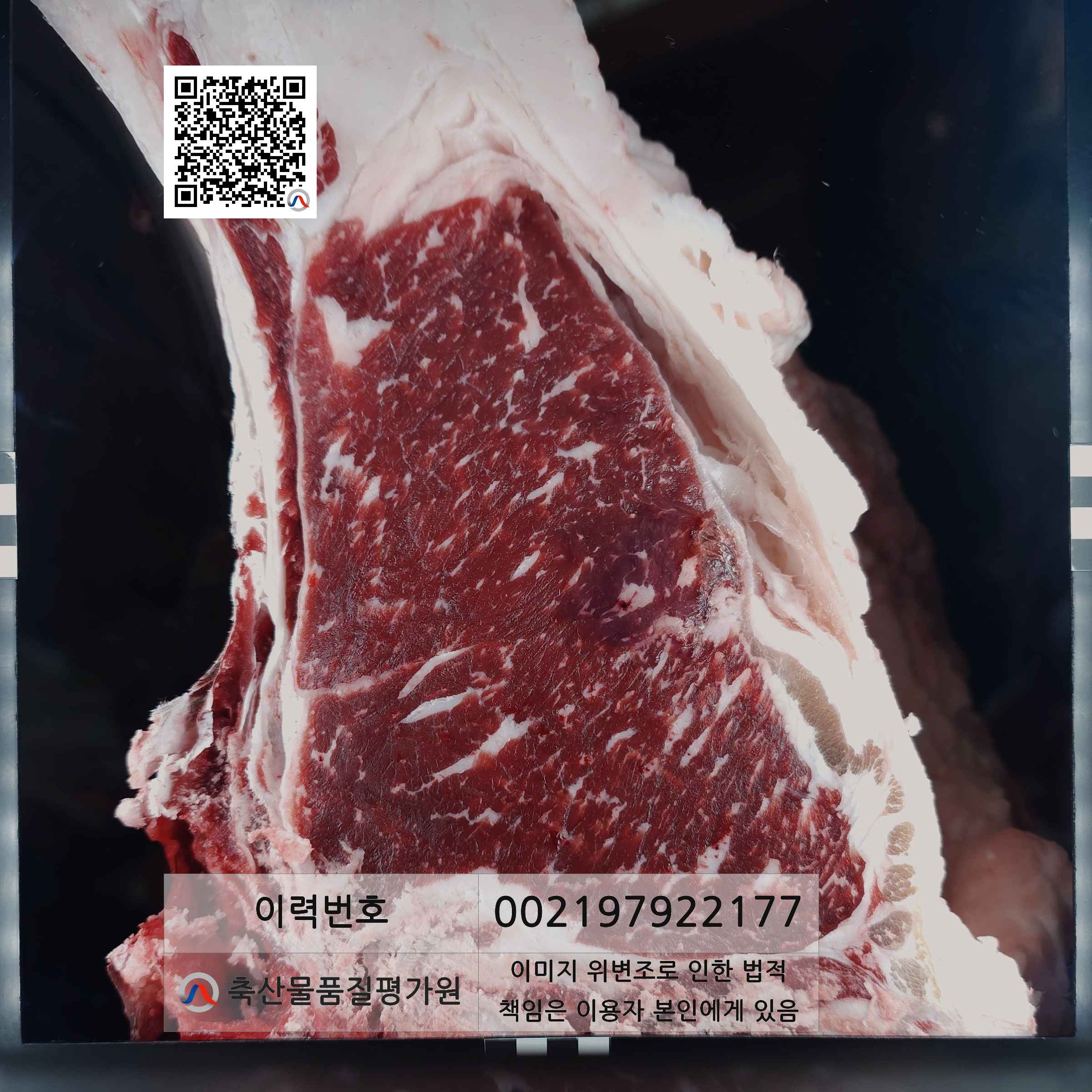 등심단면적 사진