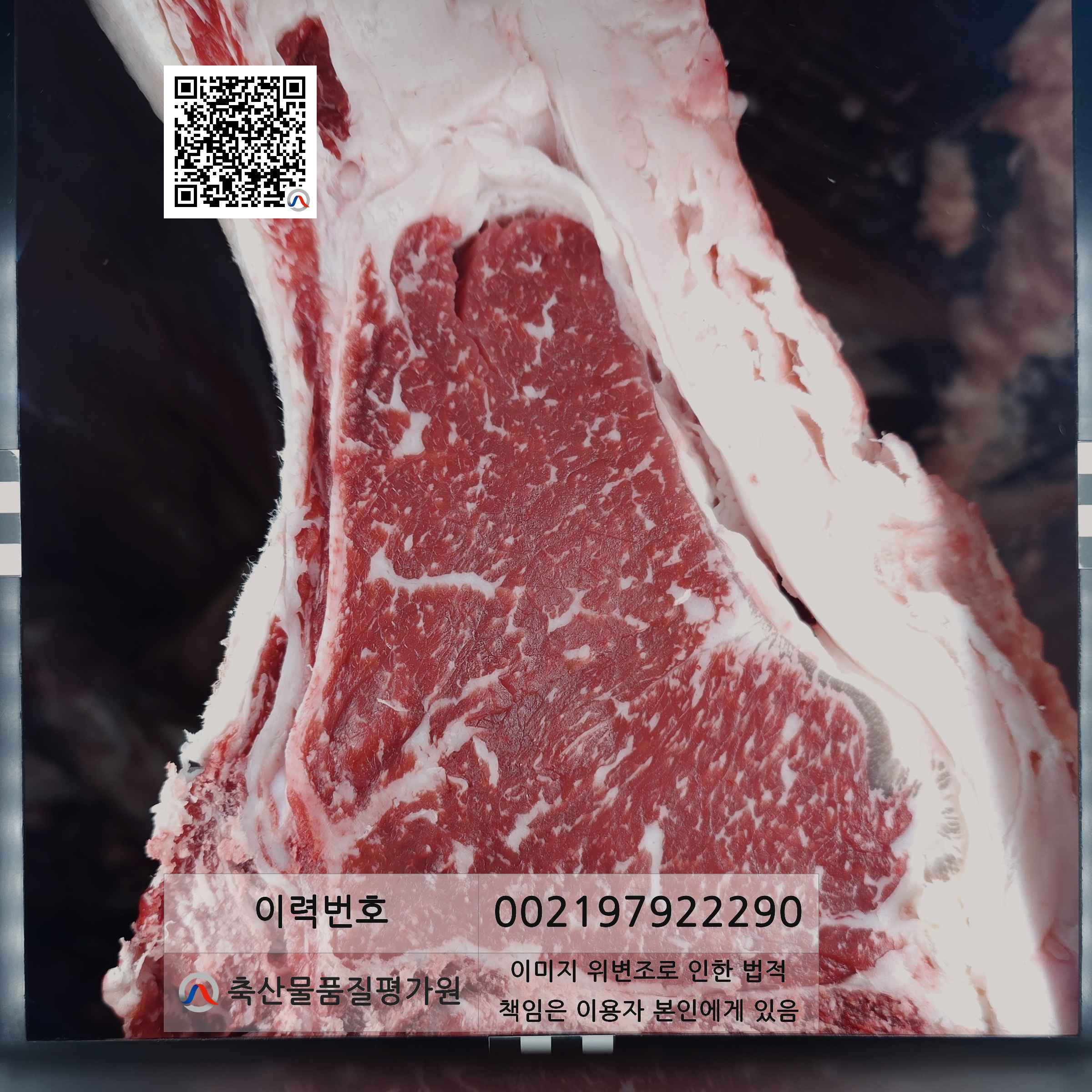 등심단면적 사진