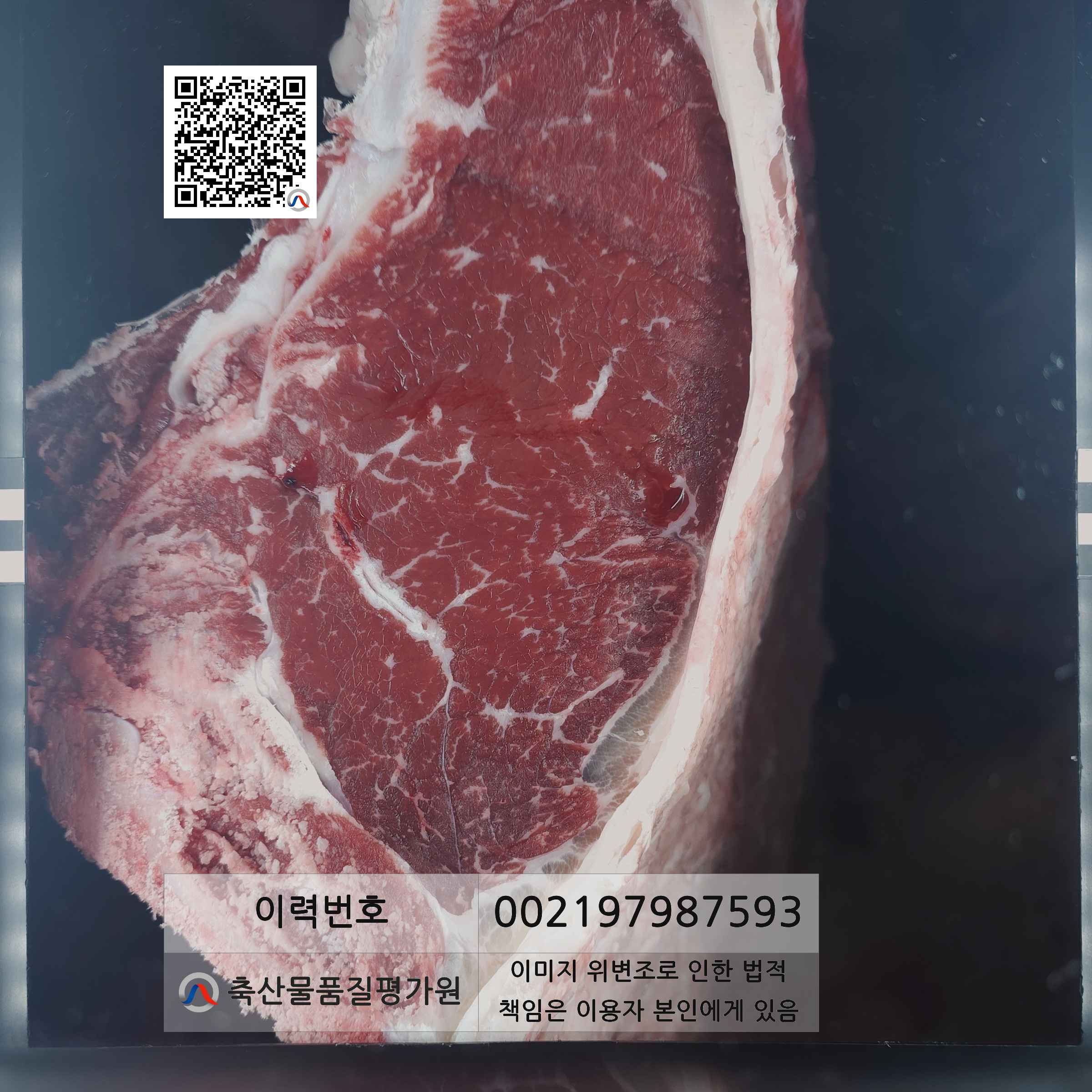 등심단면적 사진