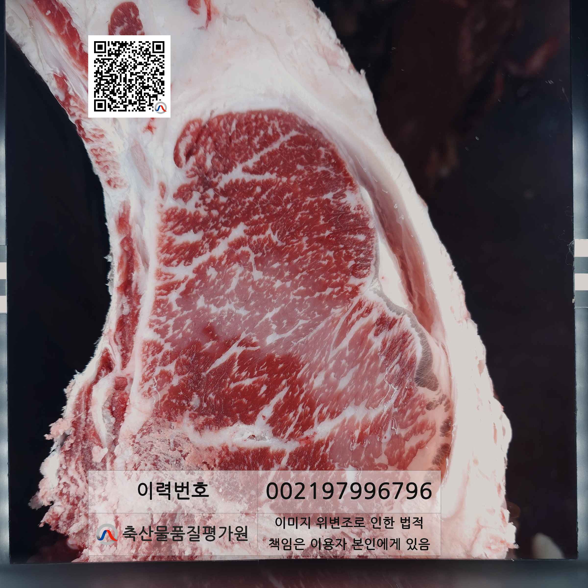 등심단면적 사진