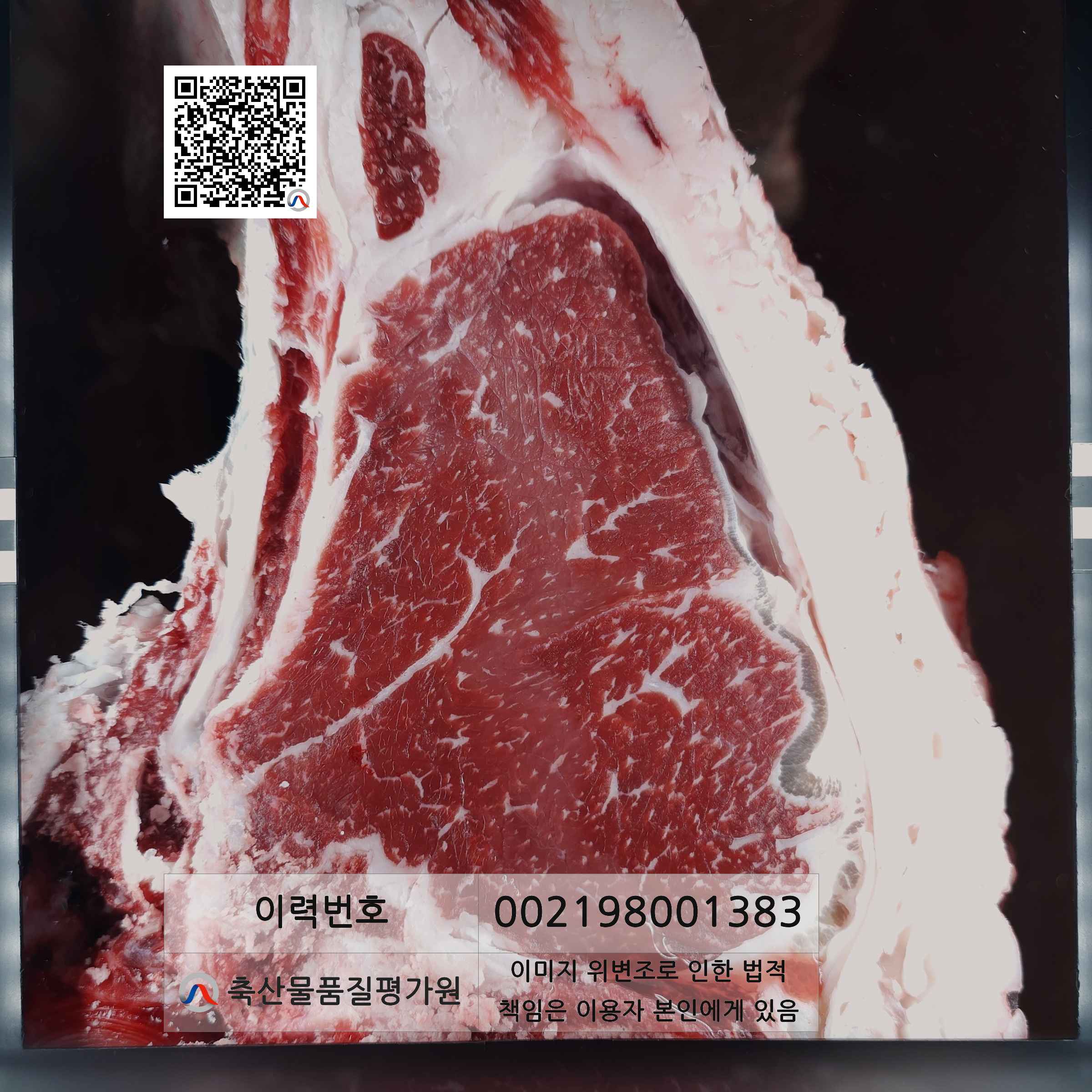 등심단면적 사진