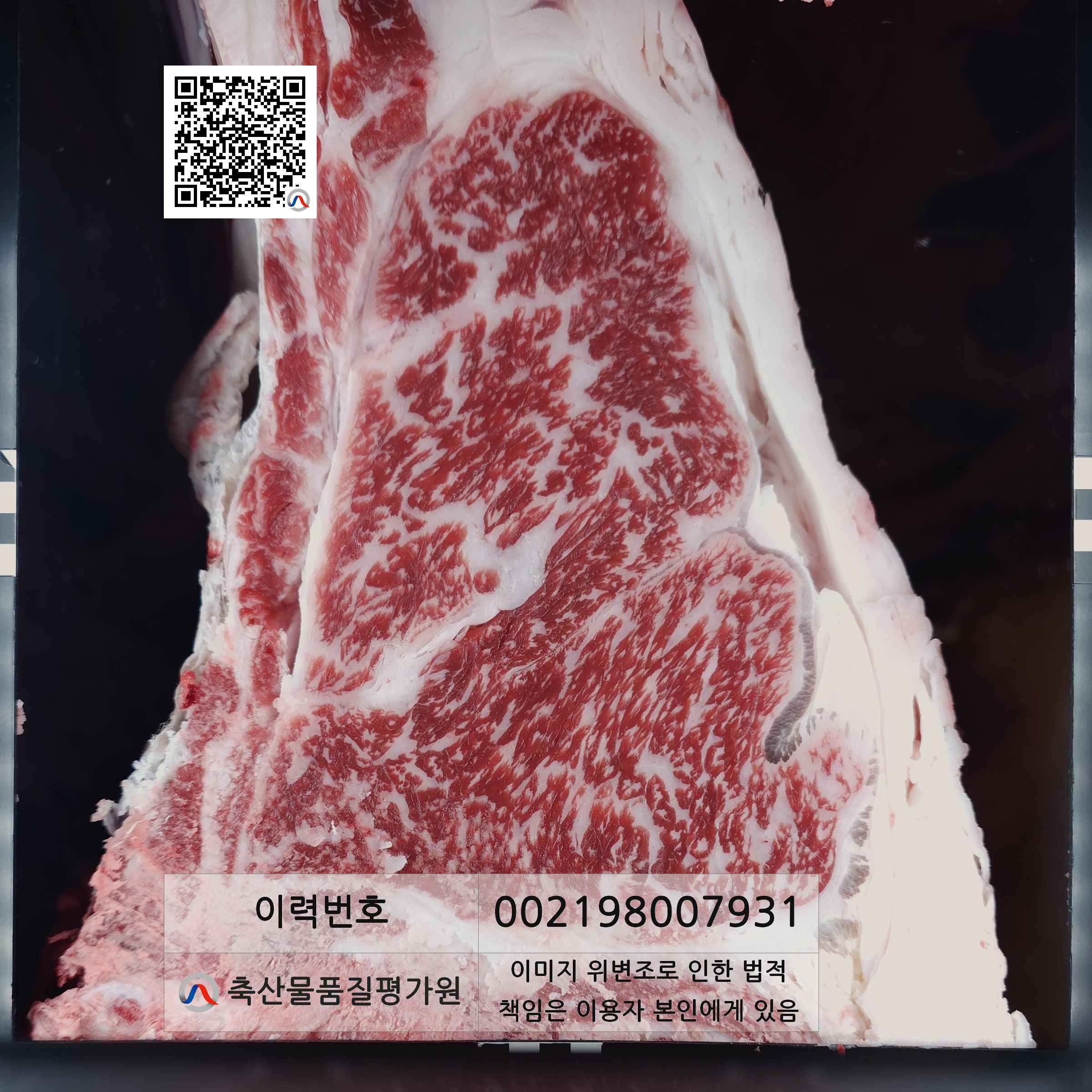 등심단면적 사진