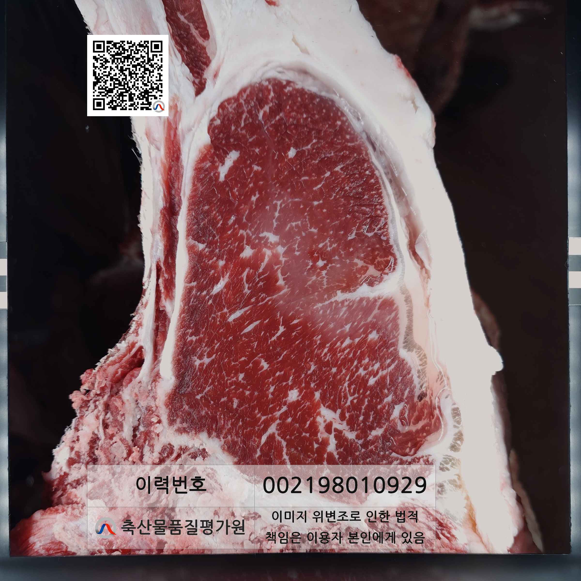 등심단면적 사진