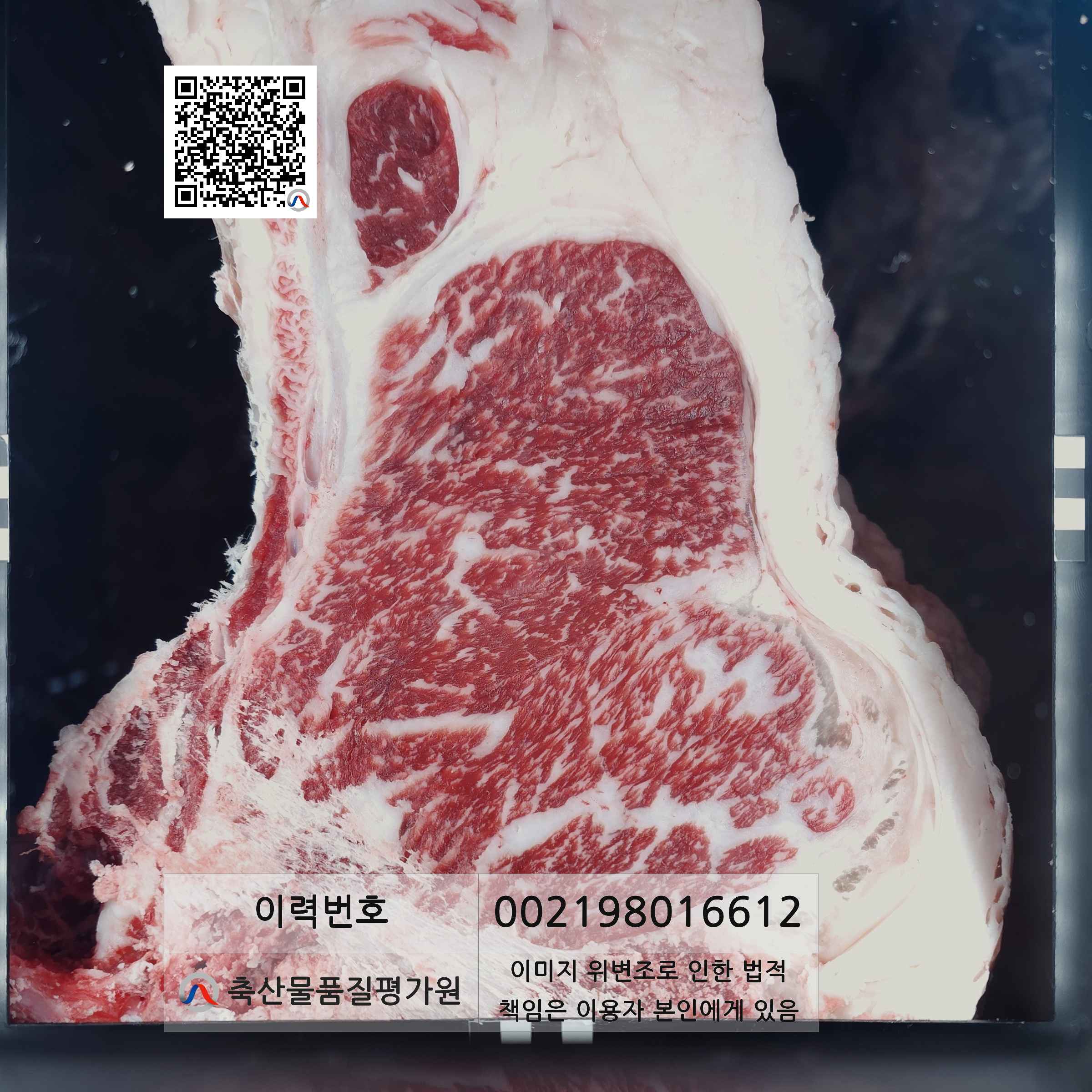 등심단면적 사진