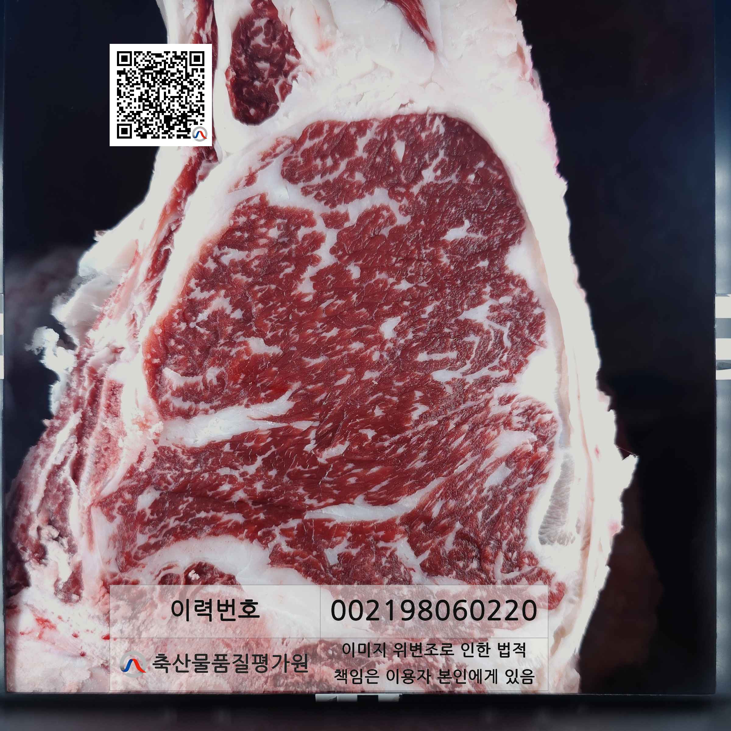 등심단면적 사진